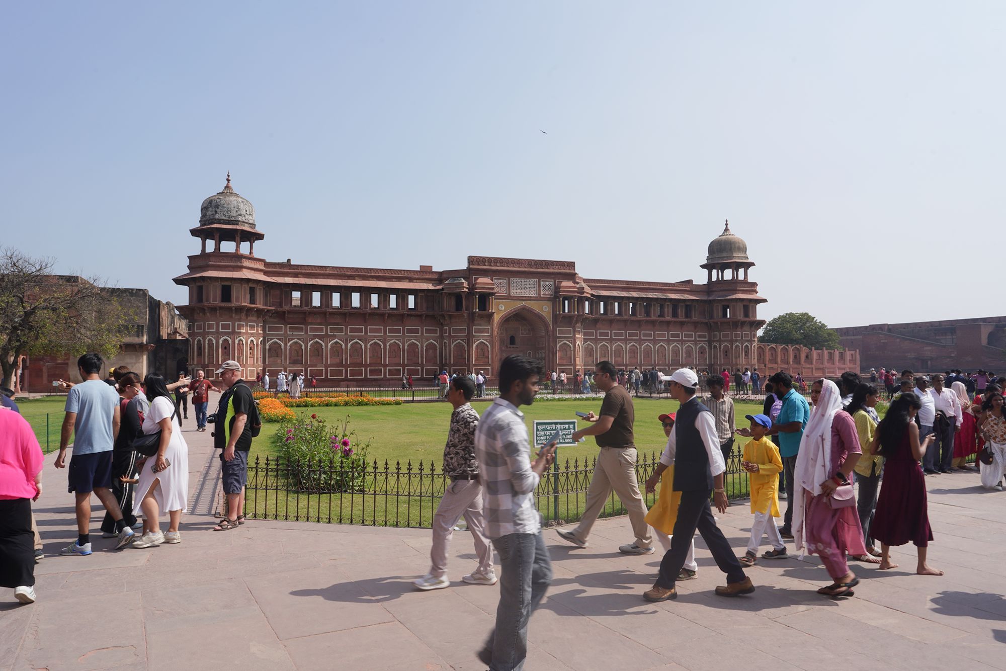 Agra Fort (105)