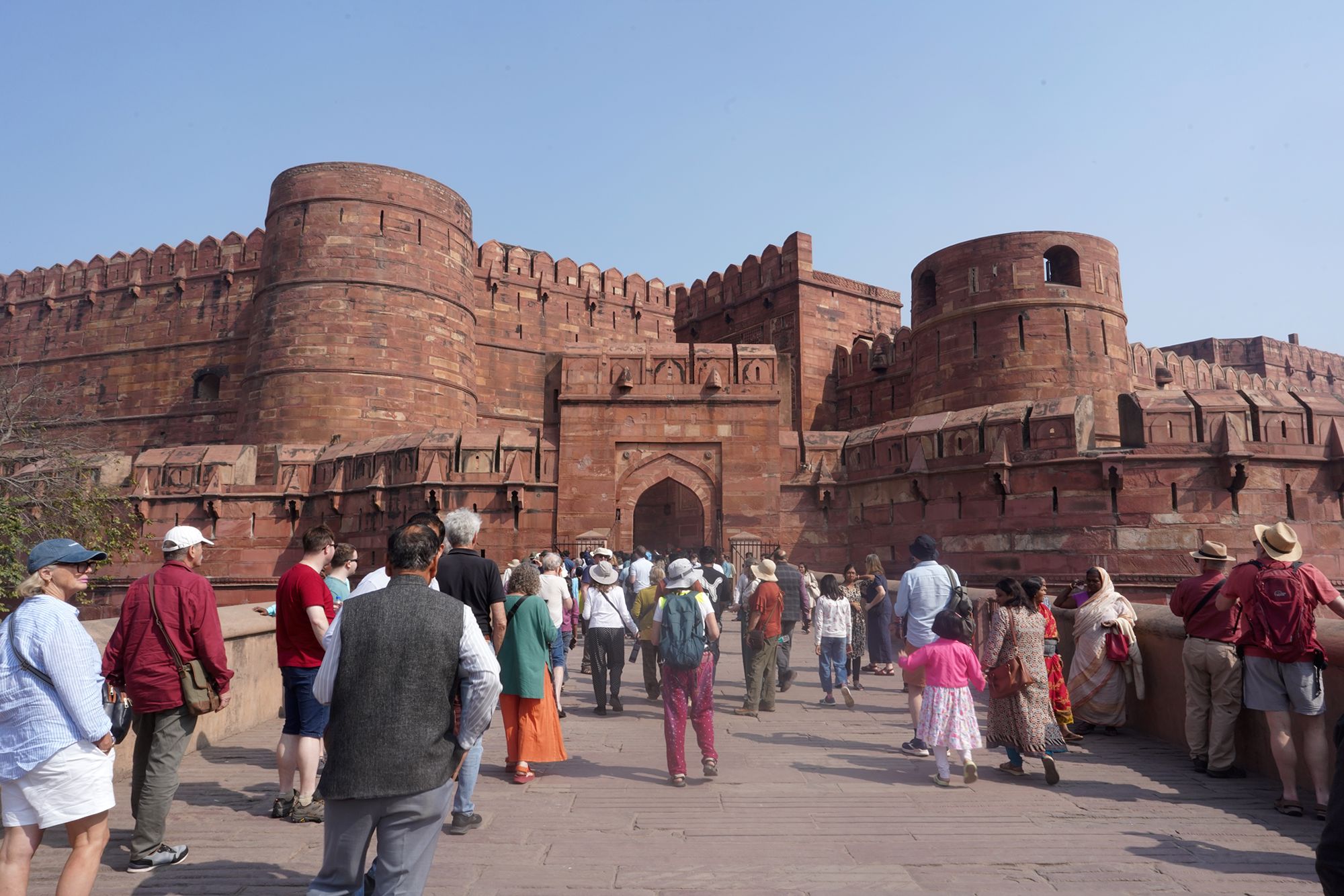 Agra Fort (3)