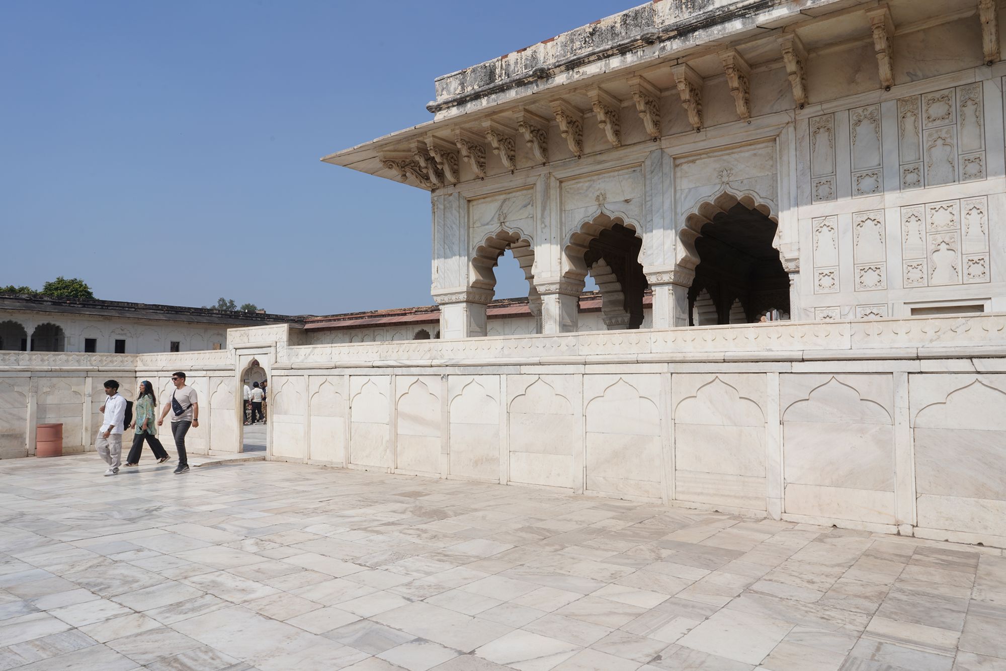 Agra Fort (57)
