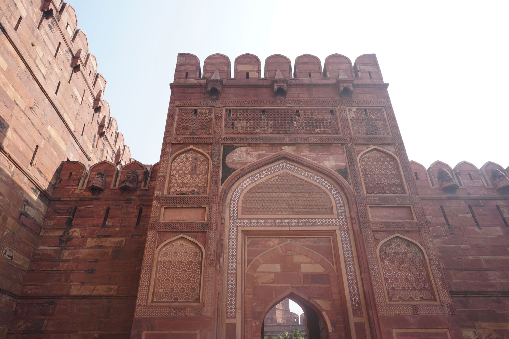 Agra Fort (8)
