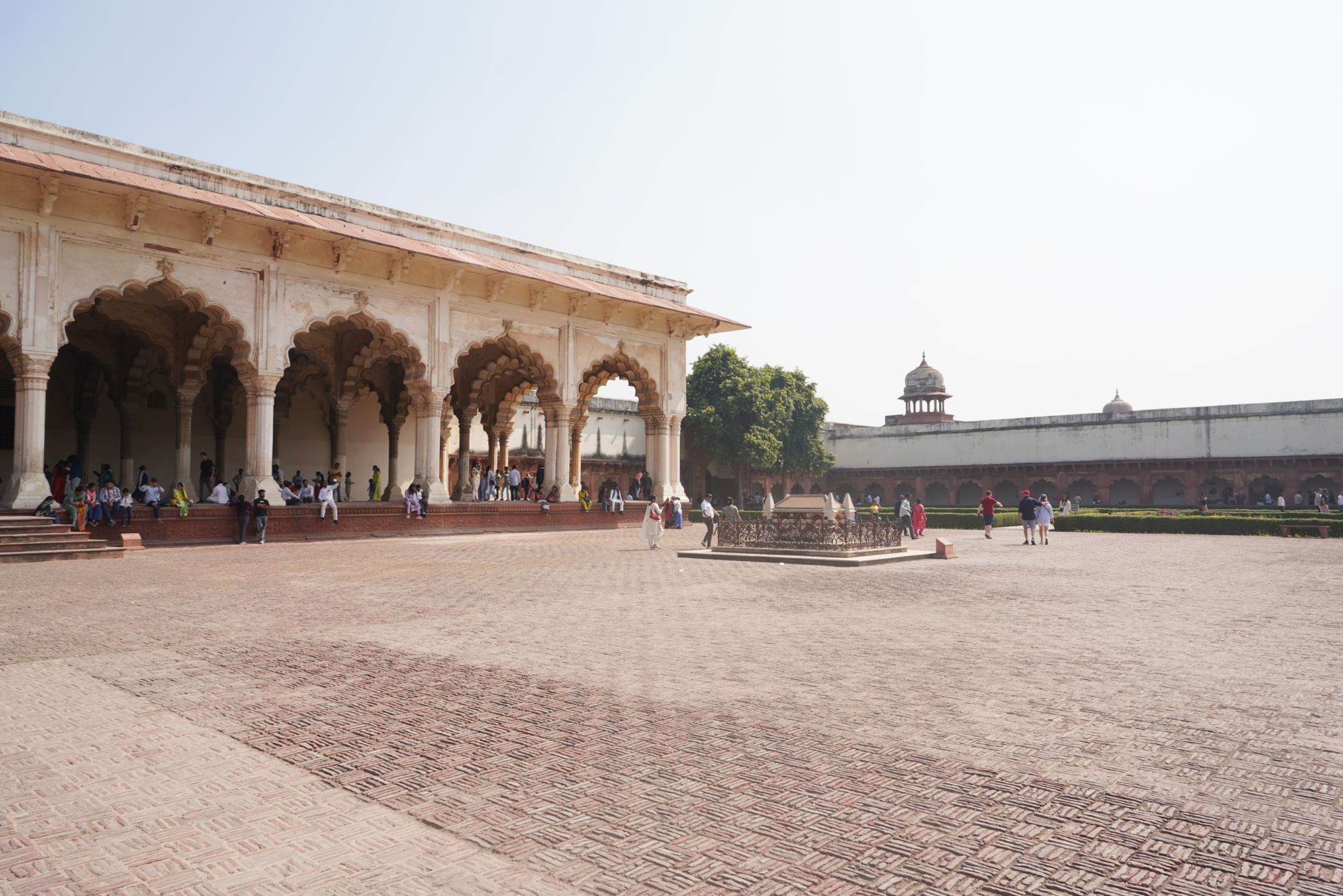 Agra Fort (99)