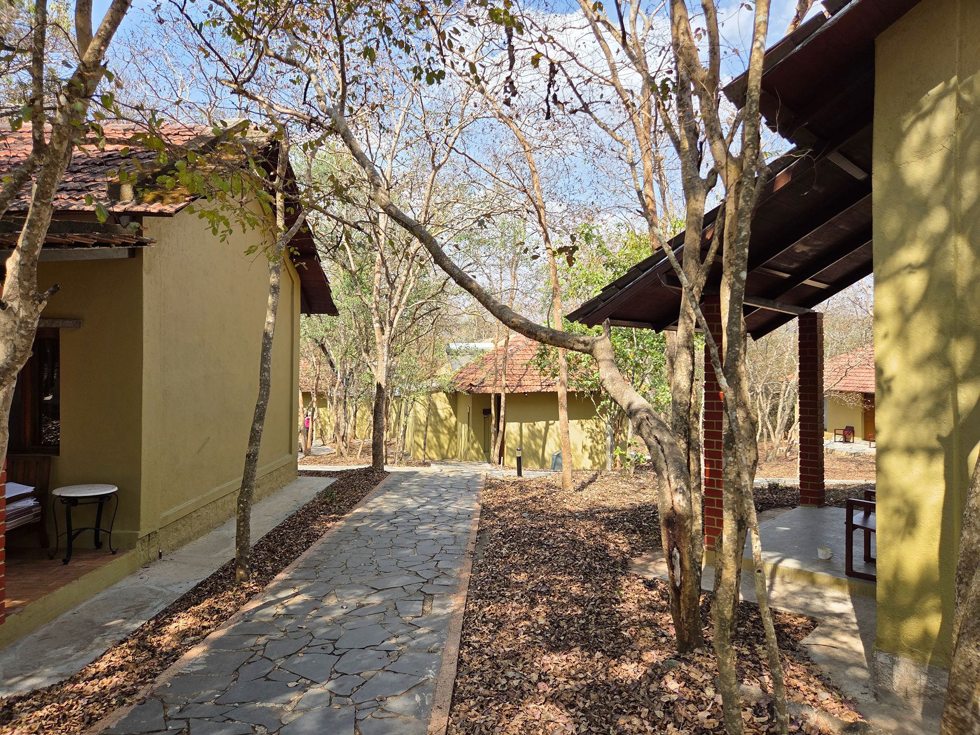 Coonoor, Muduralai NP (12)