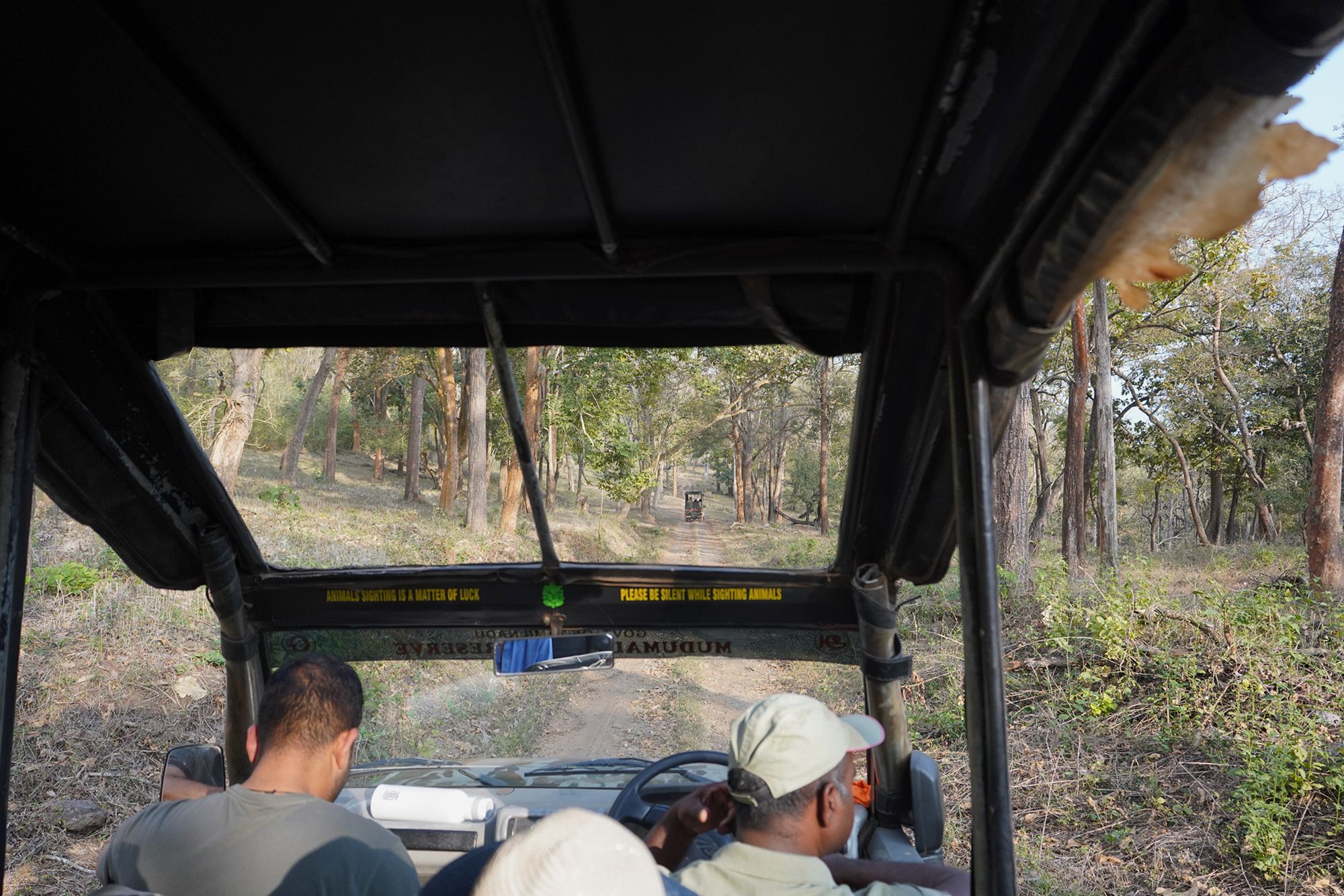 Coonoor, Muduralai NP (126)