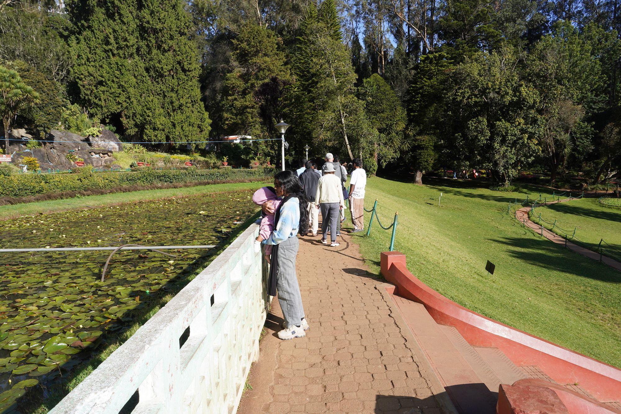 Coonoor, Muduralai NP (84) Coonoor, Muduralai NP (84)