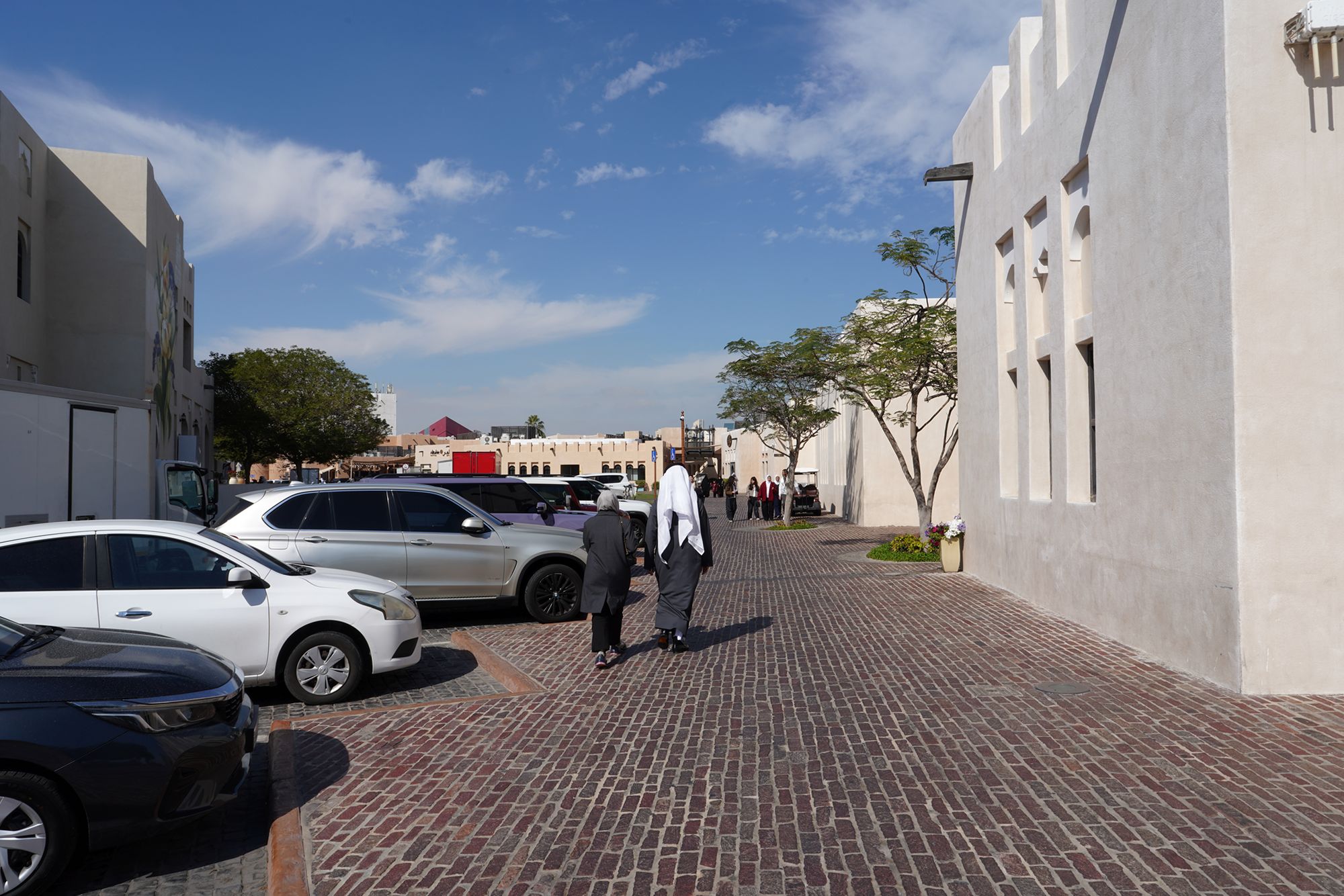 Doha City and Katara Cultural Village (105)