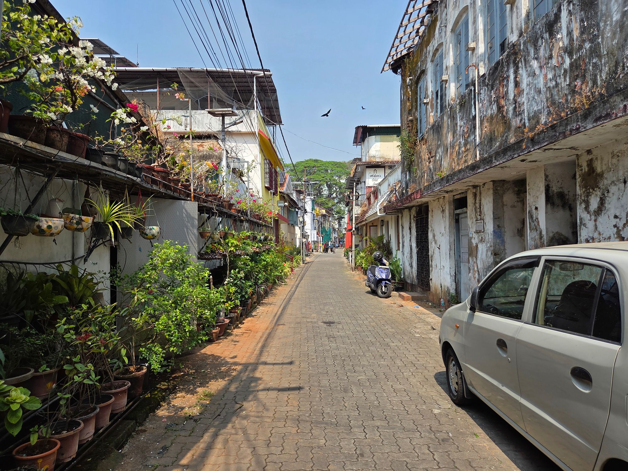 Fort Kochi – First Visit (161) Fort Kochi – First Visit (161)