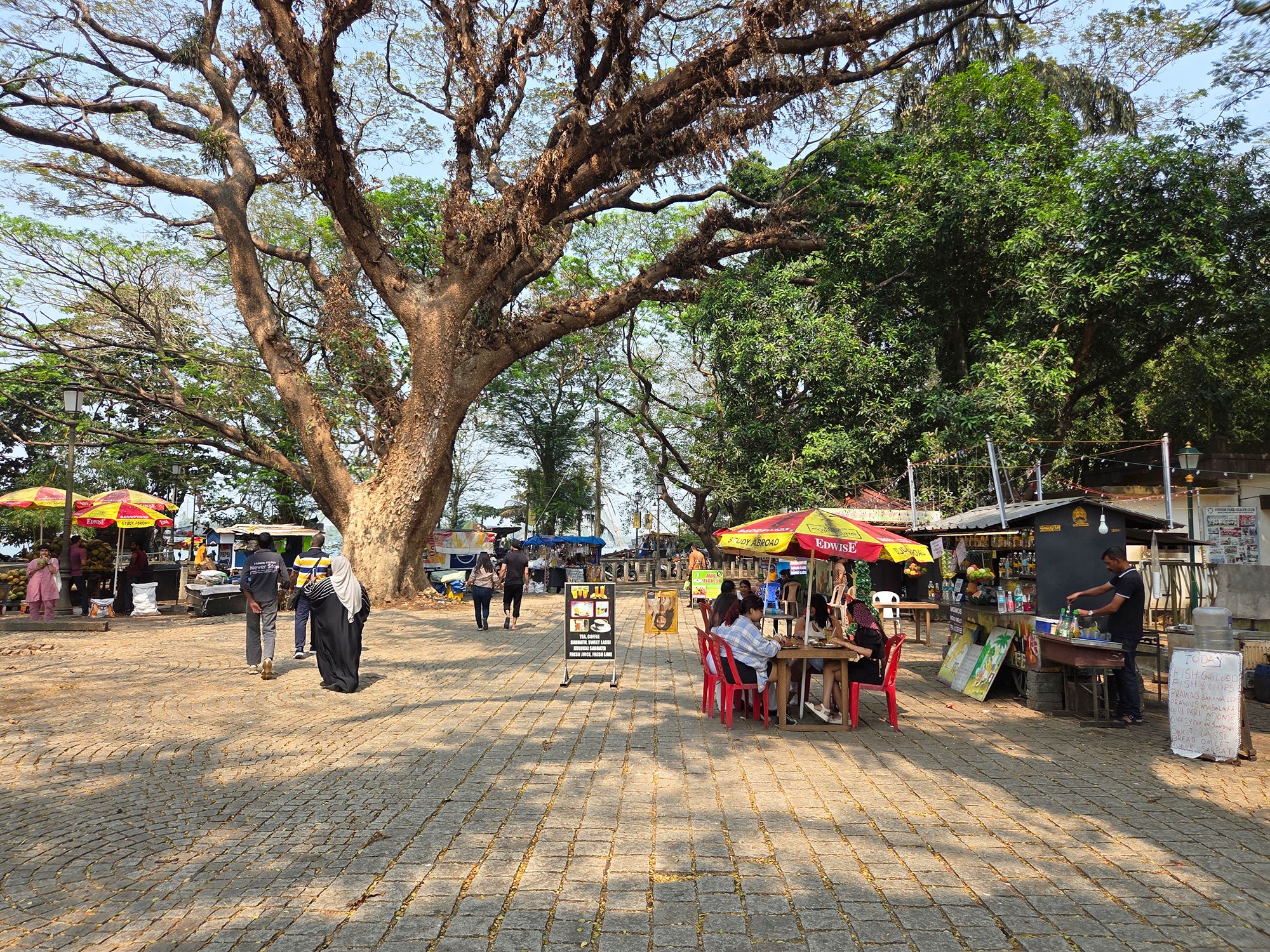 Fort Kochi – First Visit (182) Fort Kochi – First Visit (182)