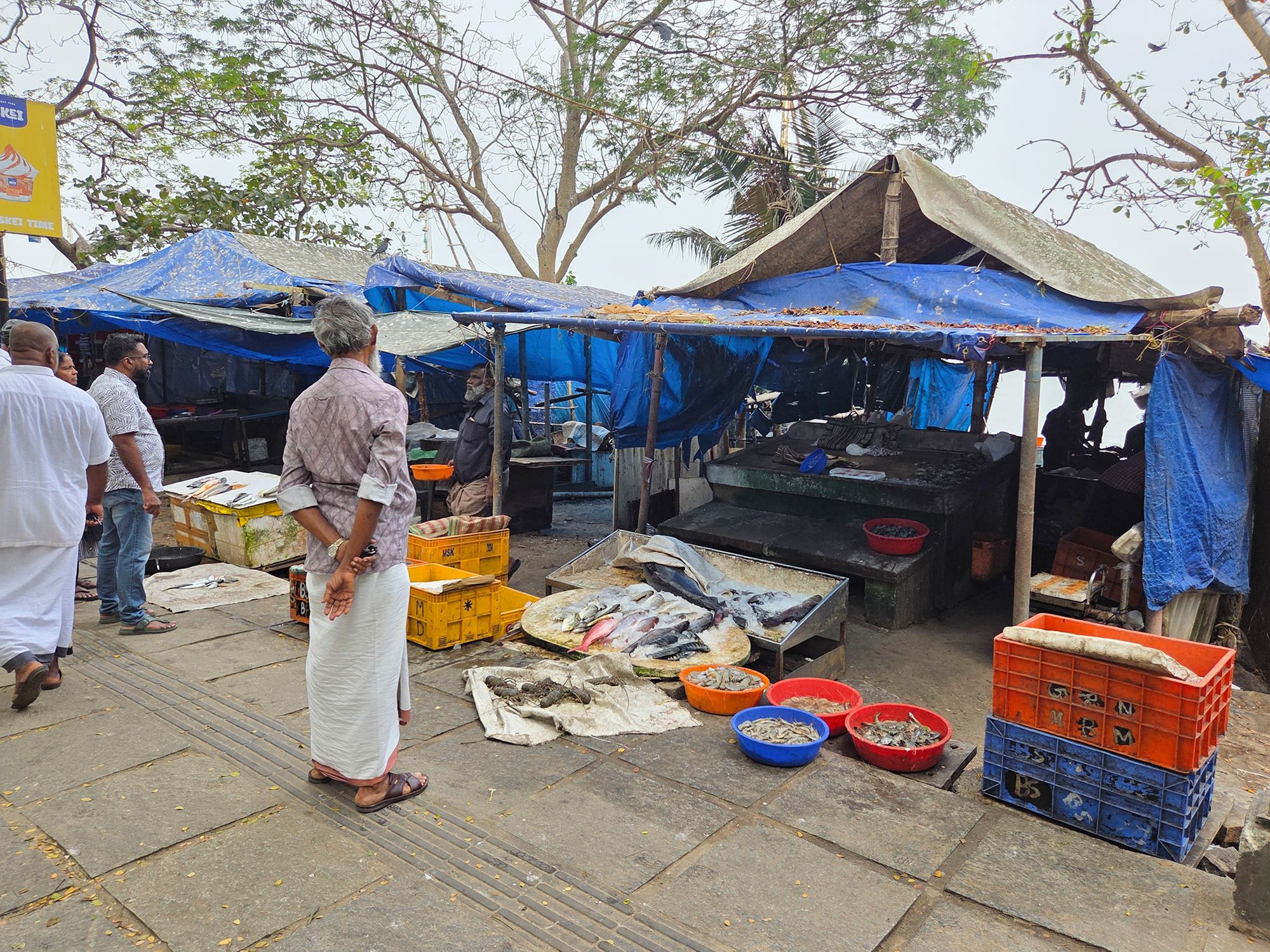 Fort Kochi – First Visit (52) Fort Kochi – First Visit (52)
