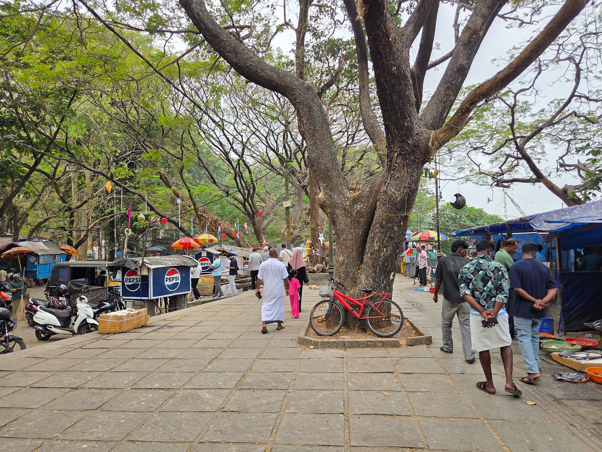 Fort Kochi – First Visit (54) Fort Kochi – First Visit (54)