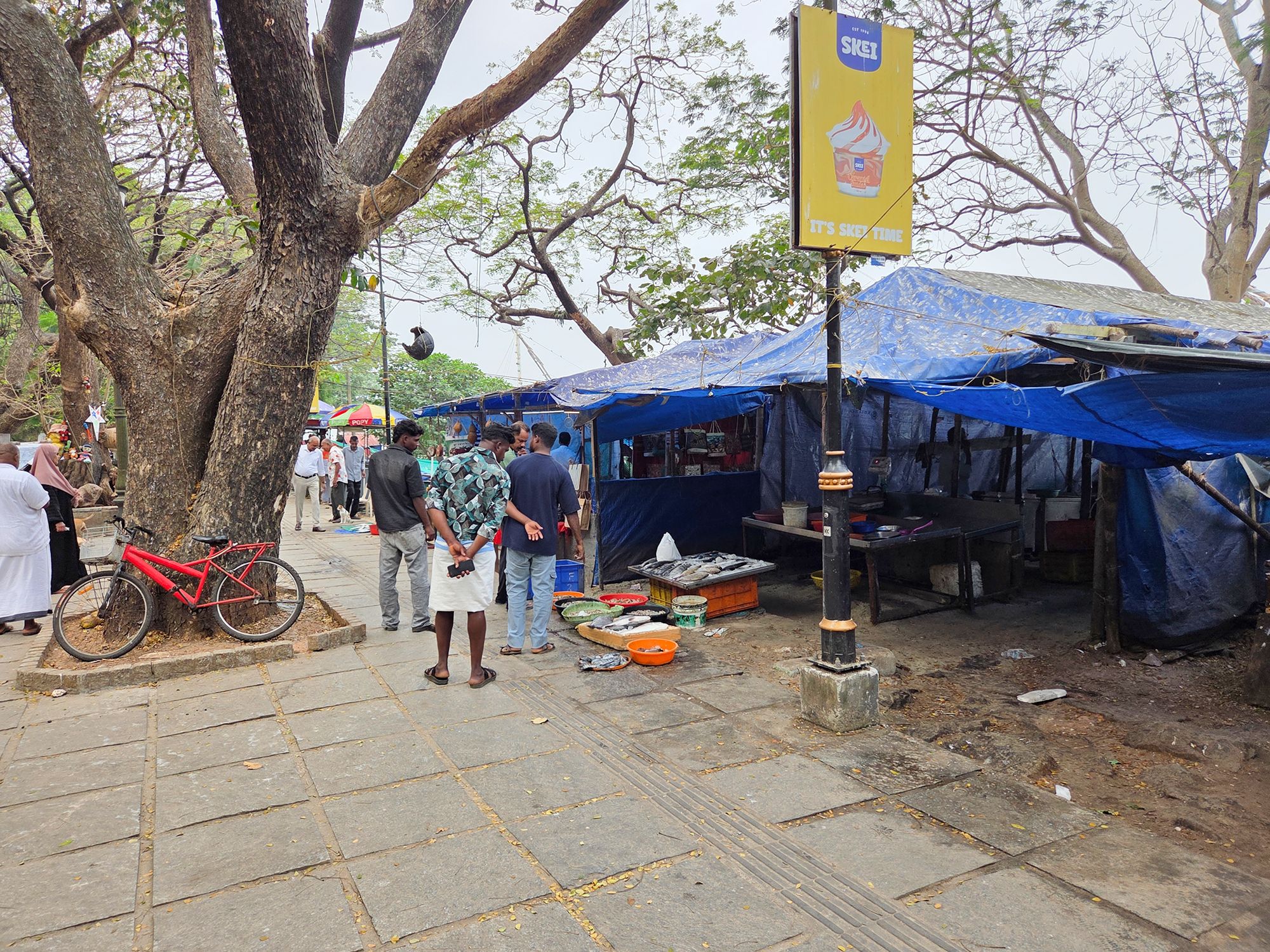 Fort Kochi – First Visit (55) Fort Kochi – First Visit (55)