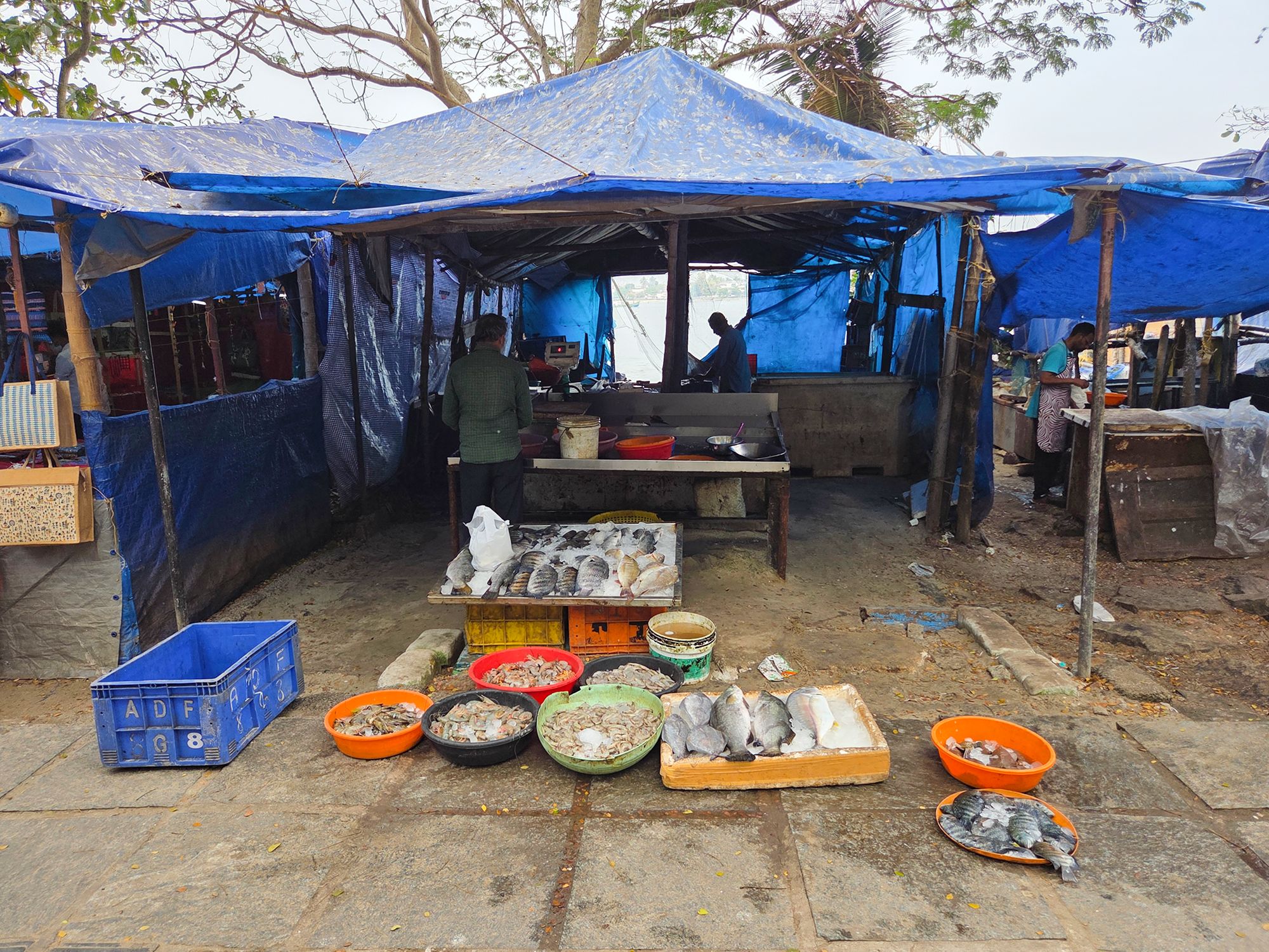 Fort Kochi – First Visit (56) Fort Kochi – First Visit (56)
