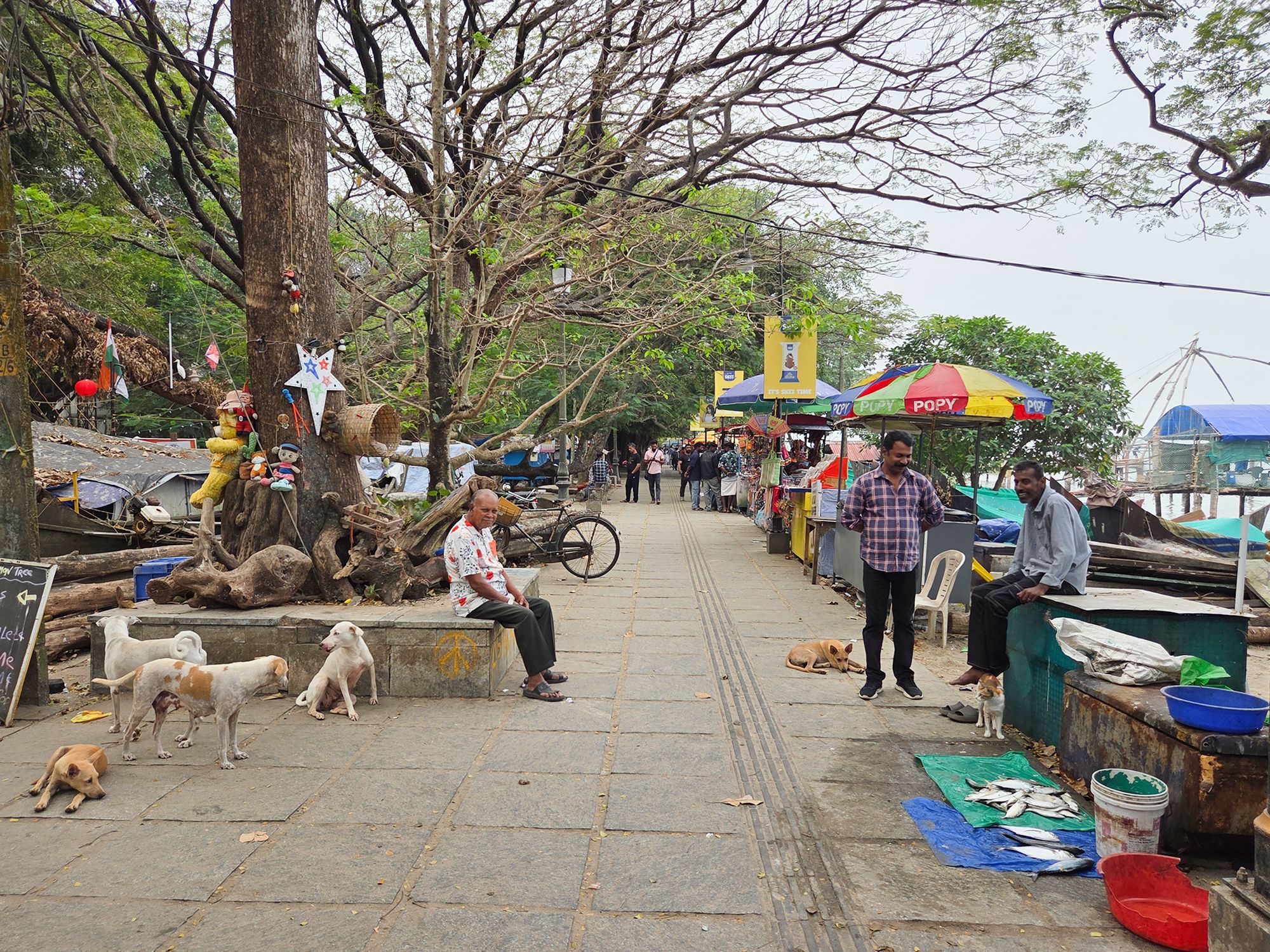 Fort Kochi – First Visit (57) Fort Kochi – First Visit (57)