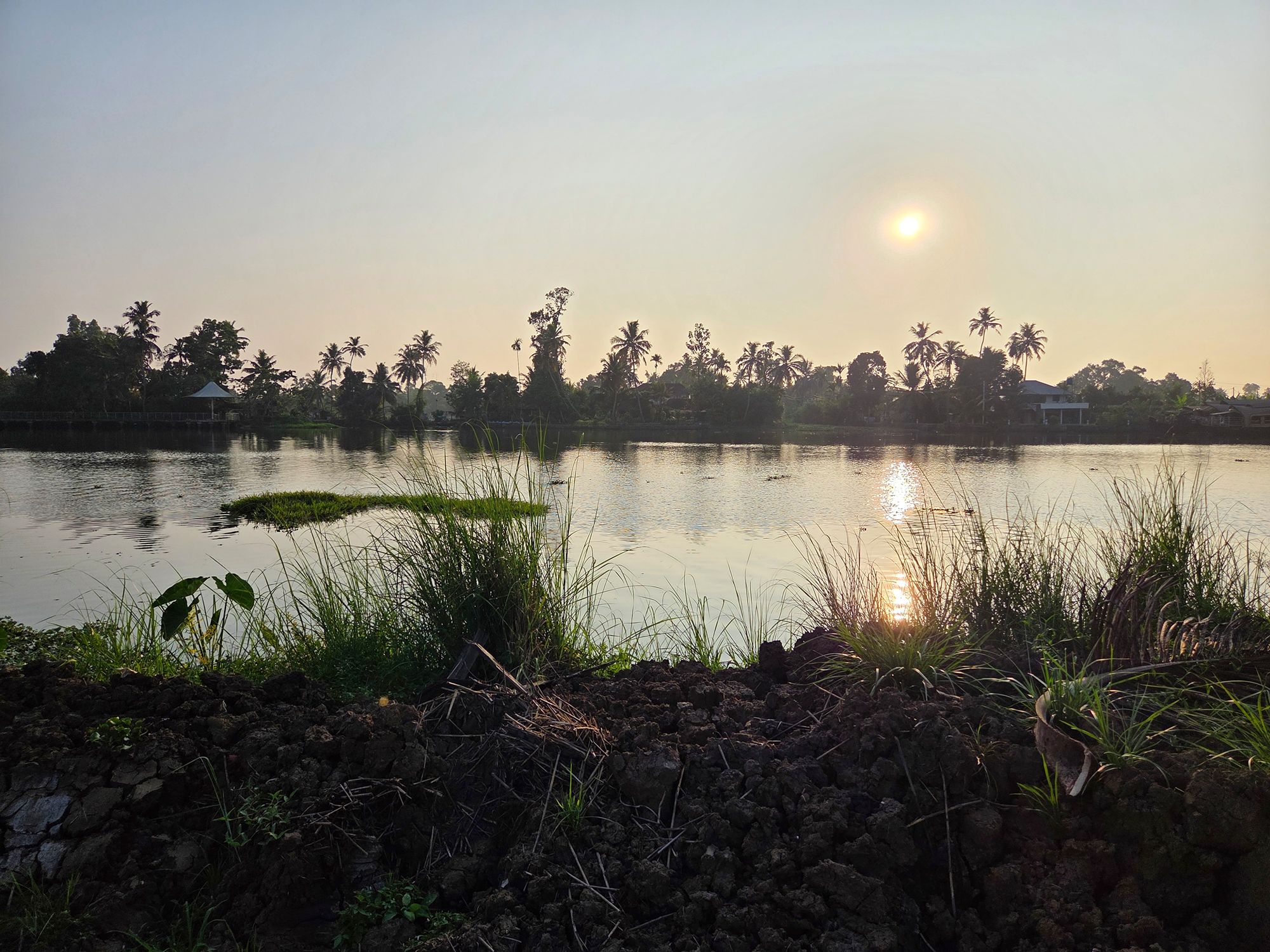 Kerala Backwaters (19) Kerala Backwaters (19)