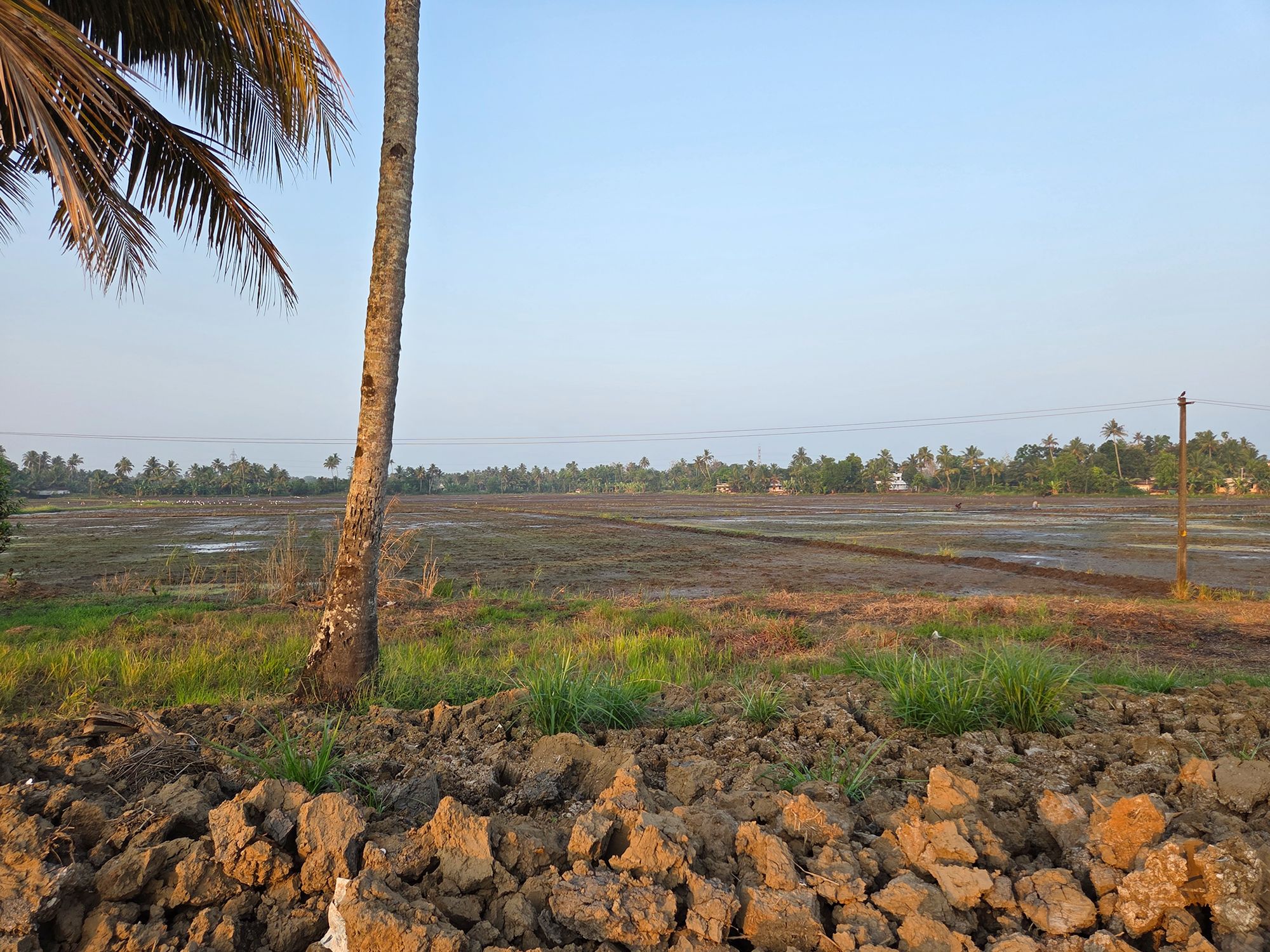 Kerala Backwaters (30) Kerala Backwaters (30)