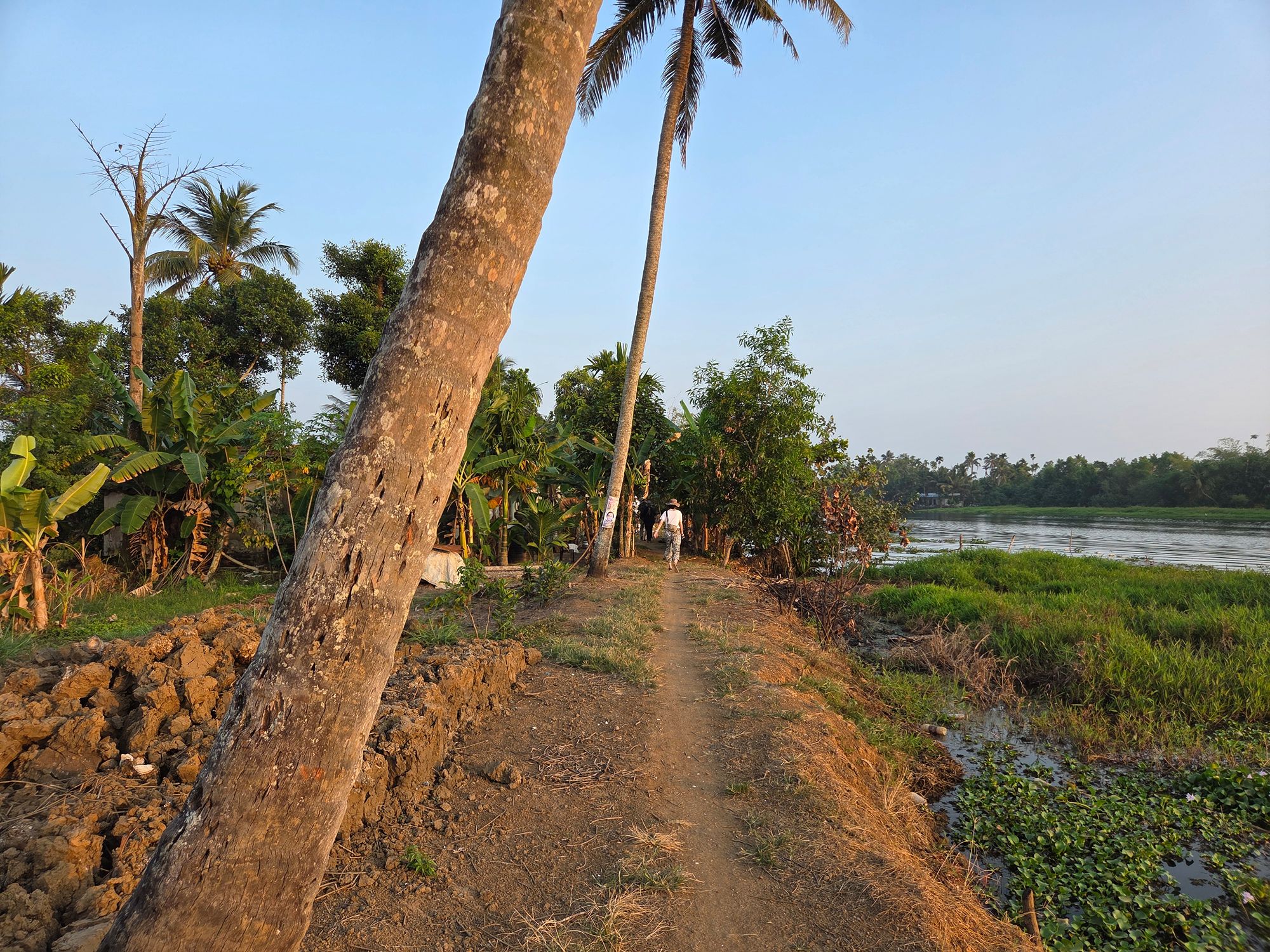 Kerala Backwaters (36) Kerala Backwaters (36)