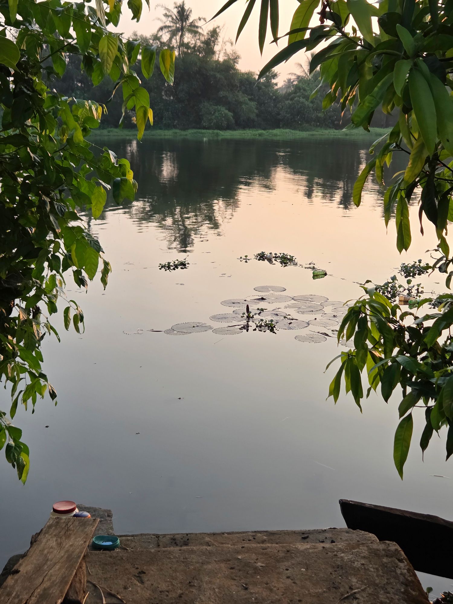 Kerala Backwaters (39) Kerala Backwaters (39)