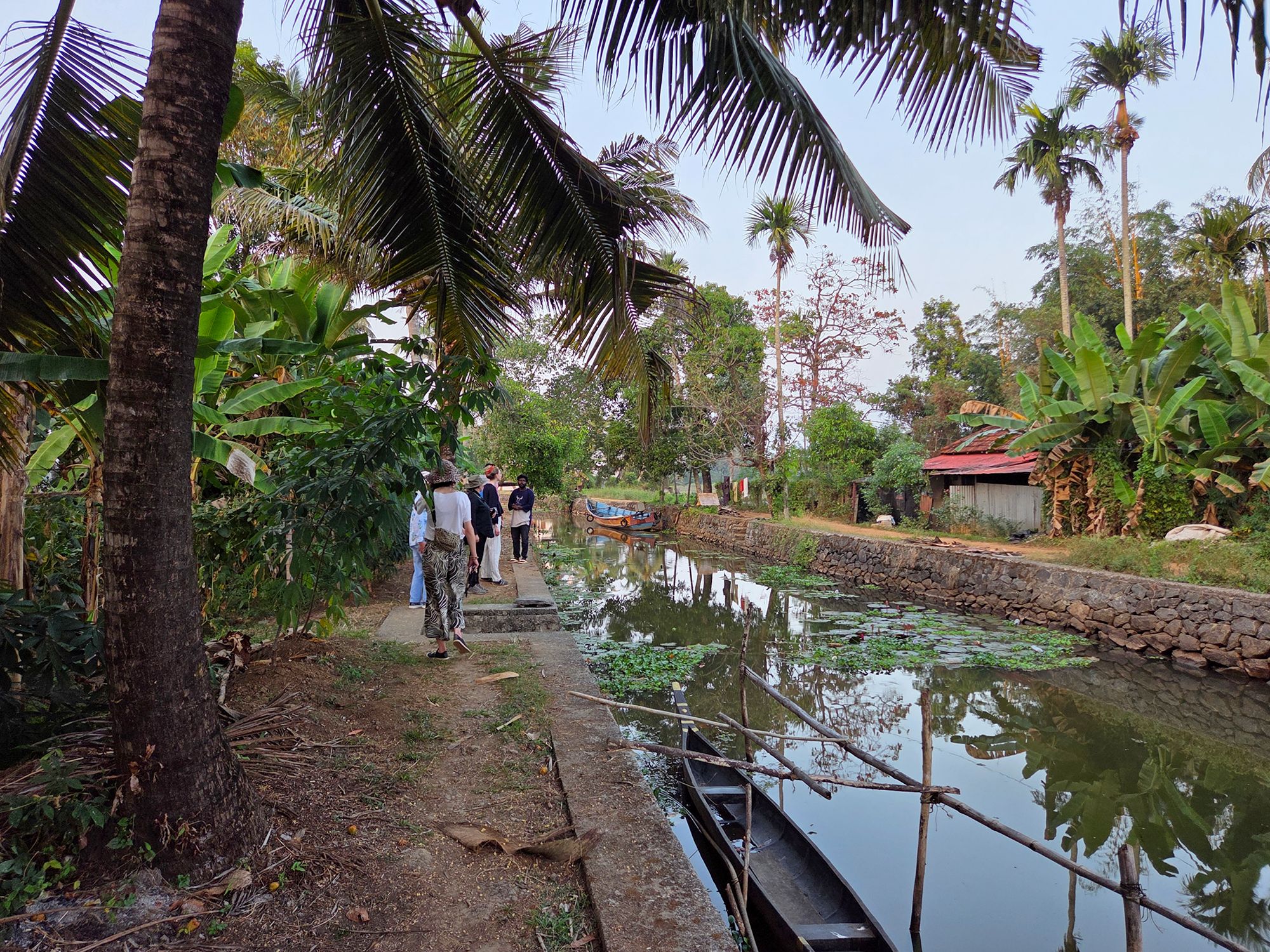 Kerala Backwaters (42) Kerala Backwaters (42)