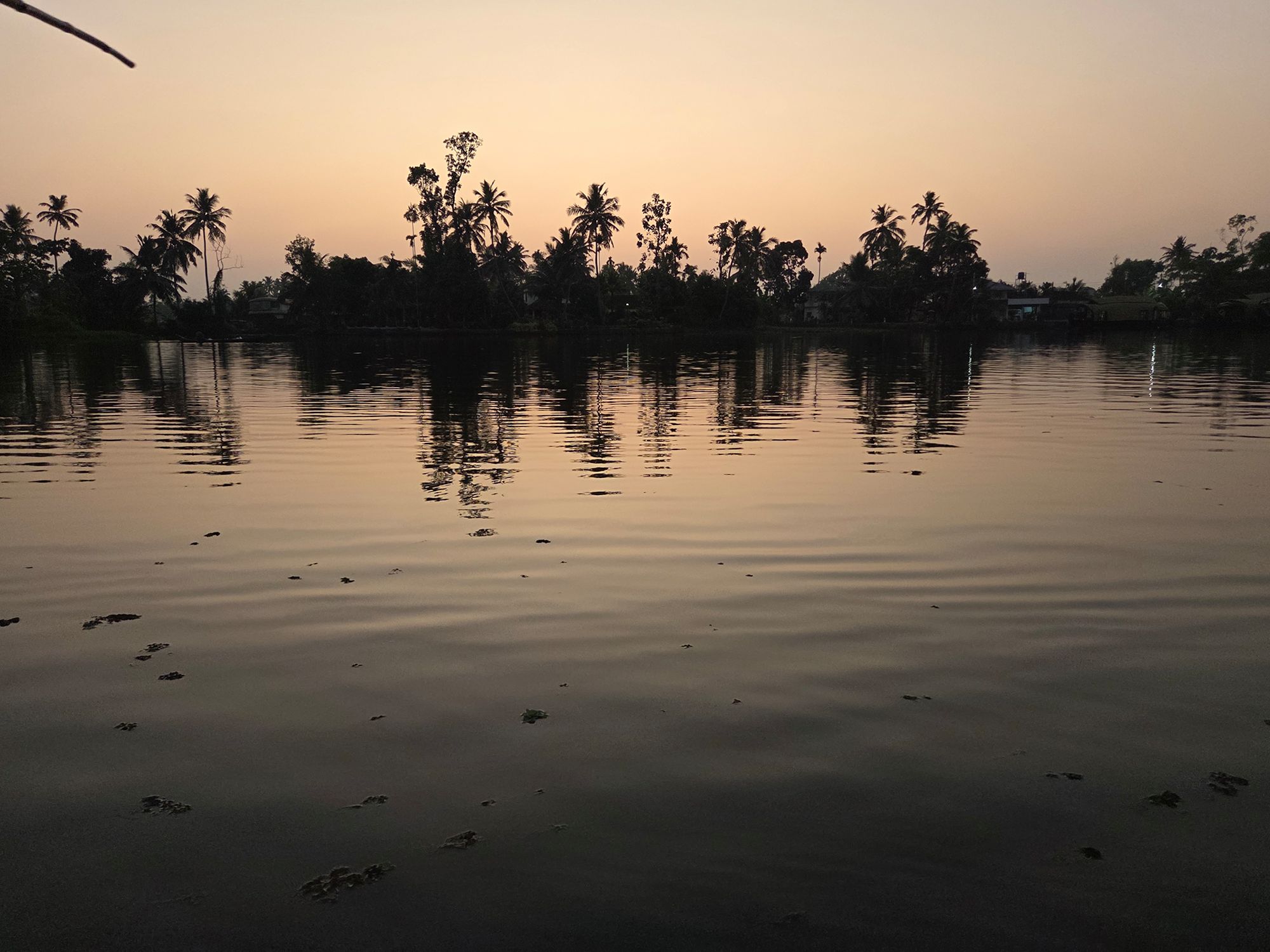 Kerala Backwaters (46) Kerala Backwaters (46)