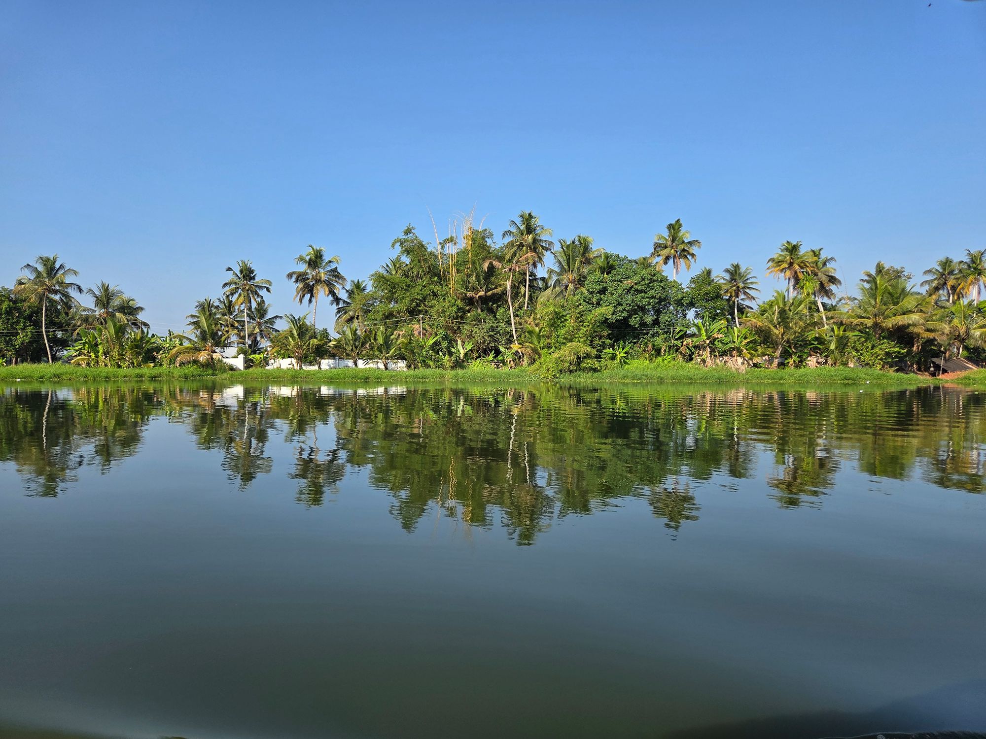 Kerala Backwaters (53) Kerala Backwaters (53)