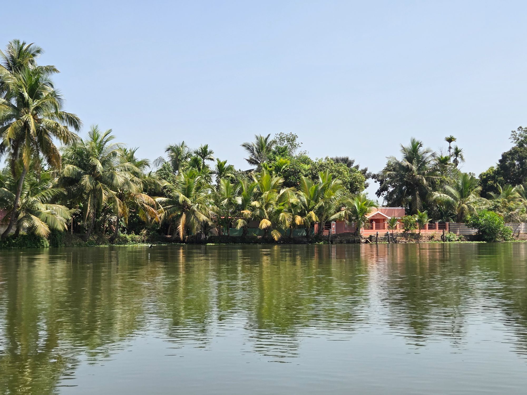 Kerala Backwaters (6) Kerala Backwaters (6)