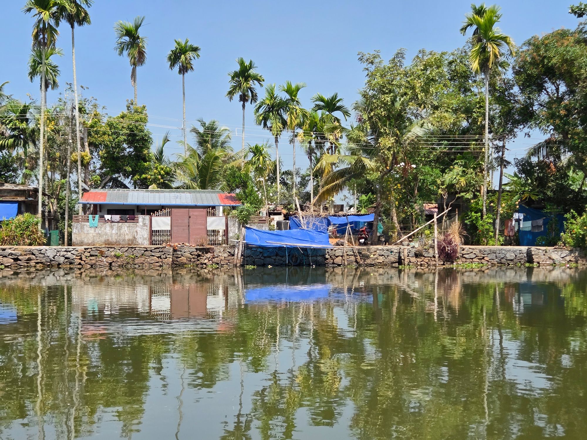 Kerala Backwaters (8) Kerala Backwaters (8)