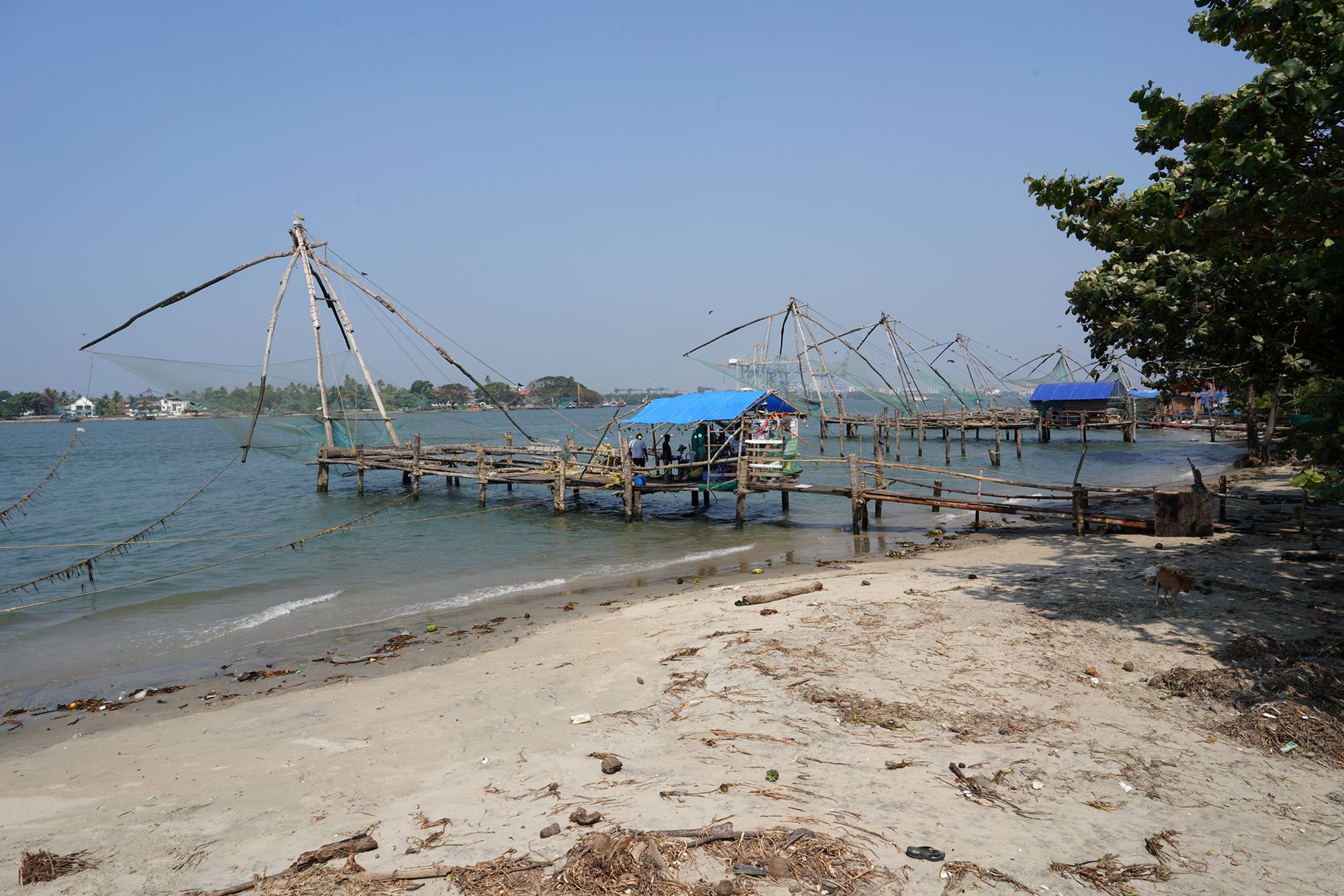 Kochi Second Visit (127)