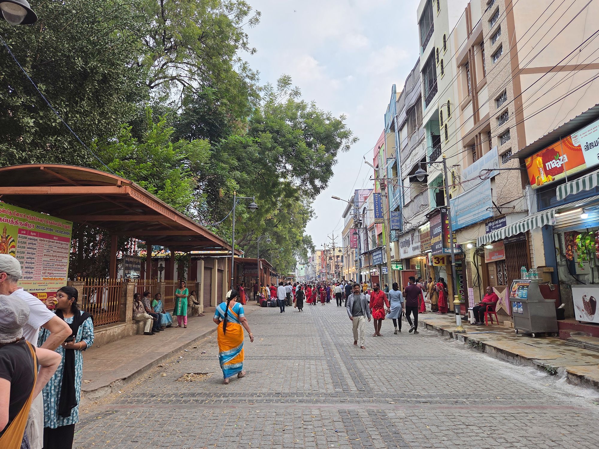 Madurai Sri Meenakshi Amman Temple (13)