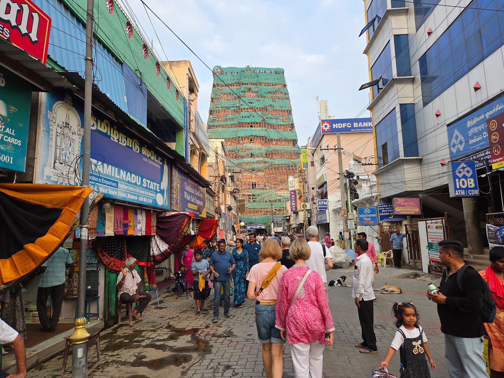 Madurai Sri Meenakshi Amman Temple (8)