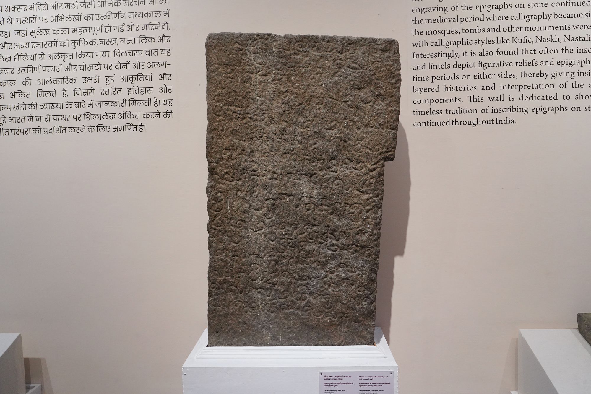 New Delhi – National Museum 2 (241)