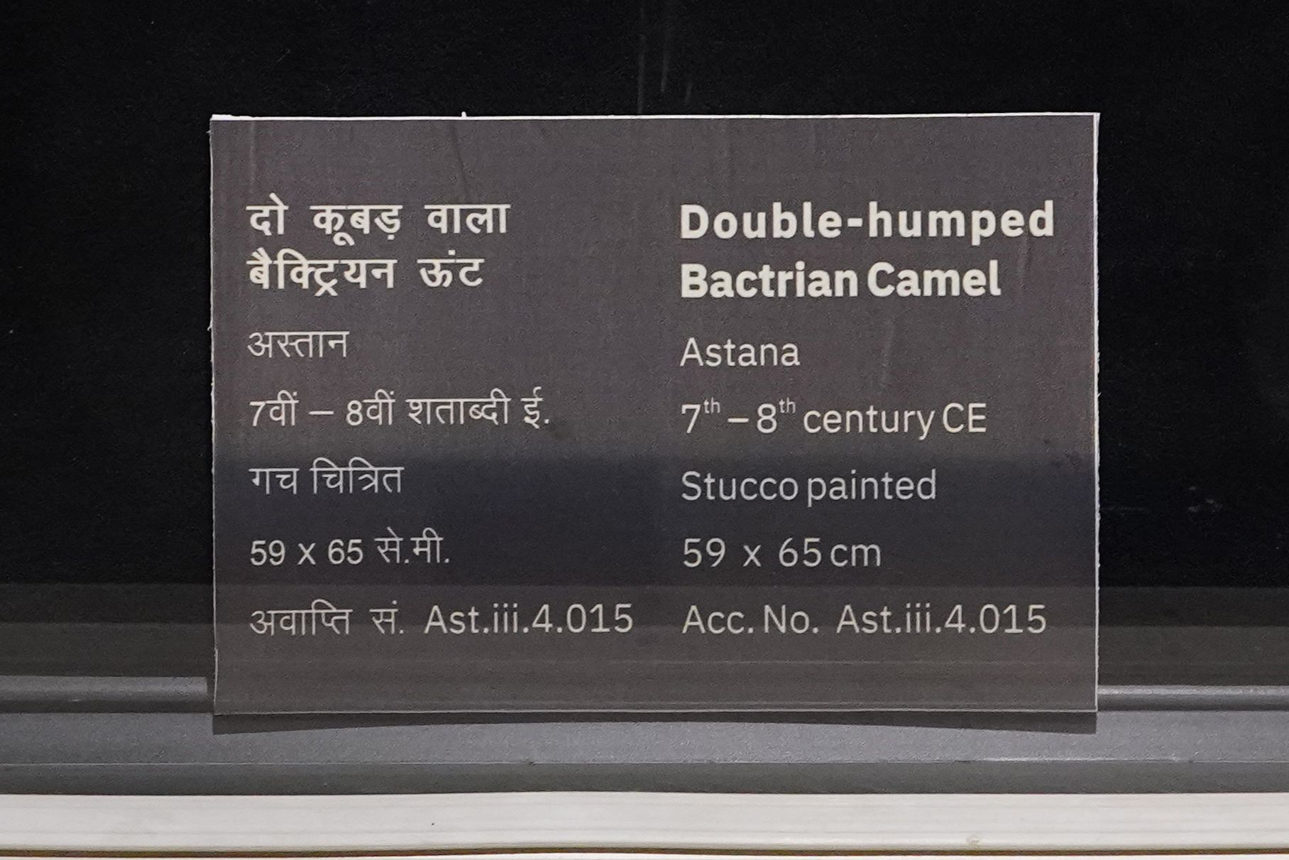 New Delhi – National Museum 2 (328)