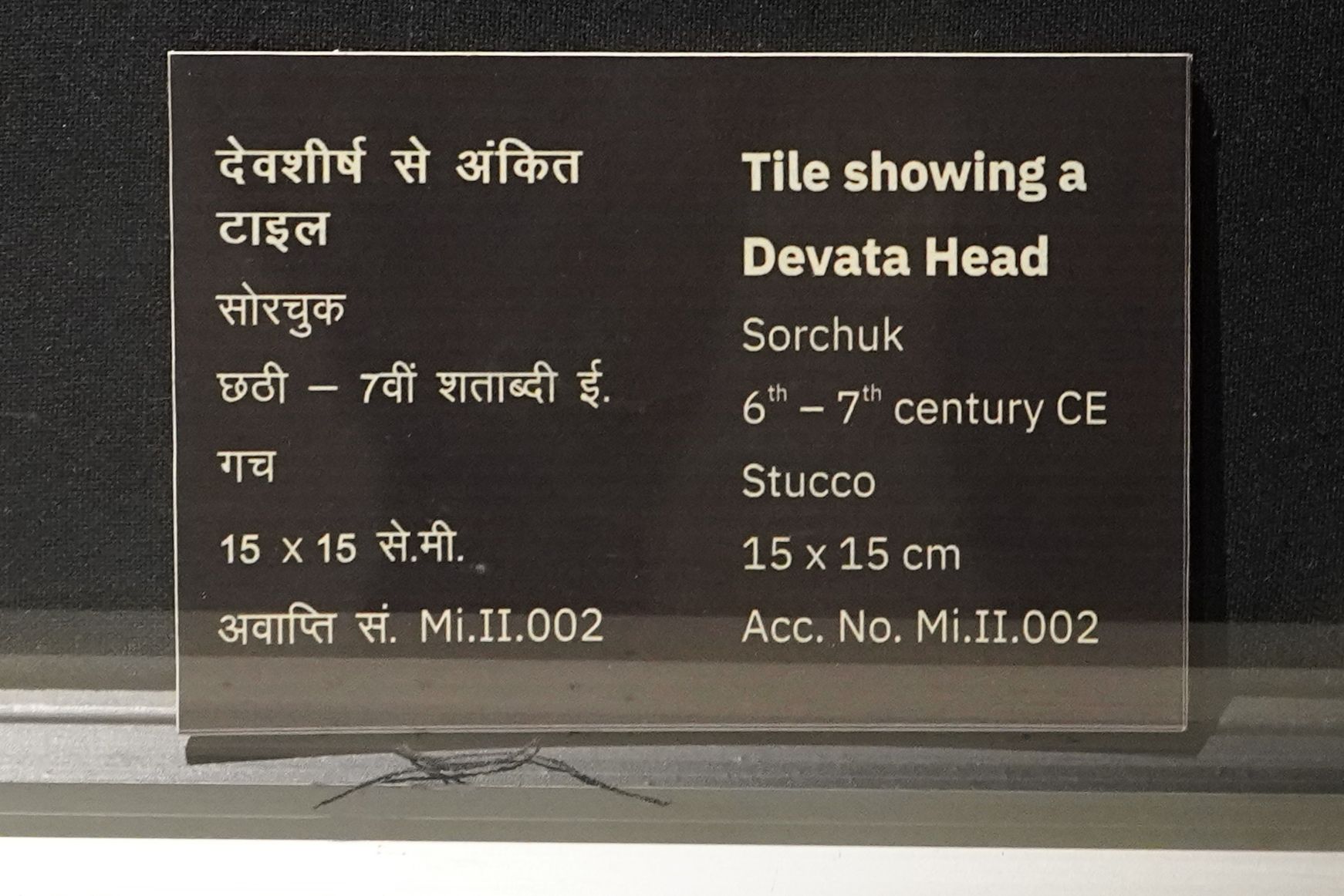 New Delhi – National Museum 2 (335)