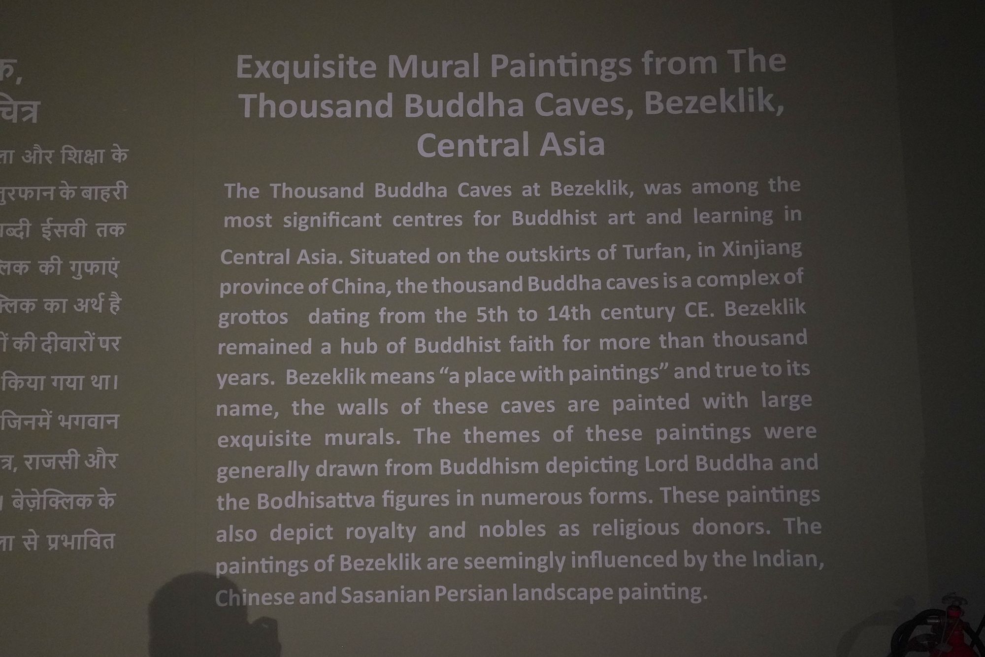 New Delhi – National Museum 2 (343)