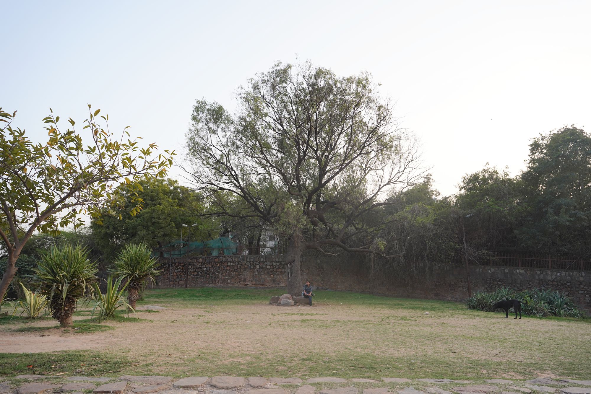 New Delhi – Qutb Minar (98) New Delhi – Qutb Minar (98)