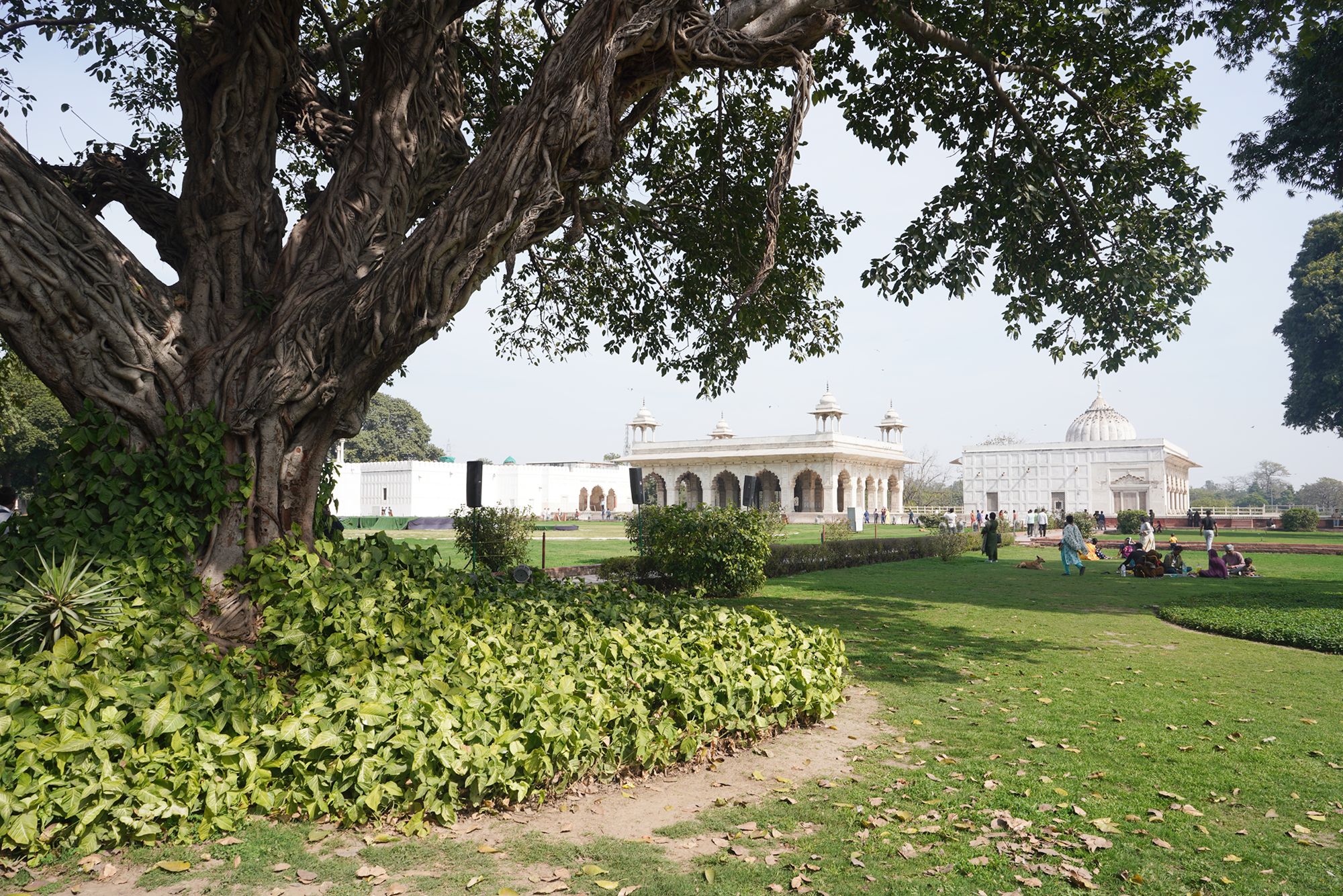 New Delhi – Red Fort, Jama Masjid (62)