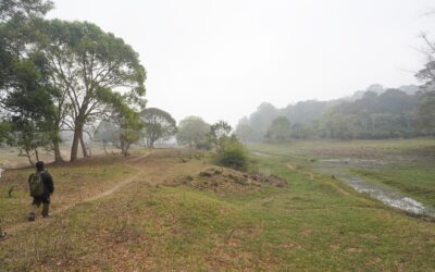 Periyar National Park and Spice Plantation, Martial Art Show, Periyar, India