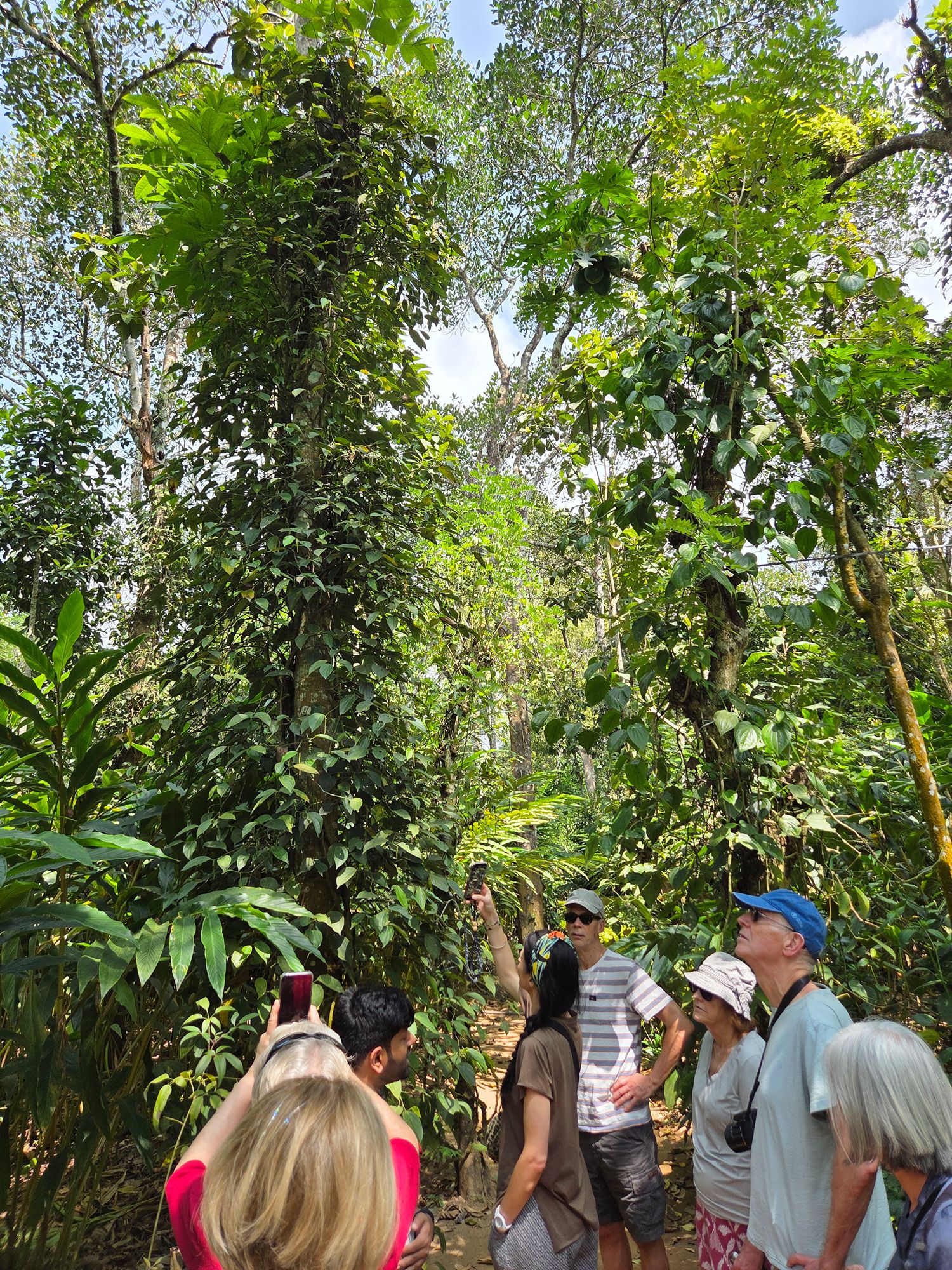 Periyar Spice Plantation and Martial Art Show (12)