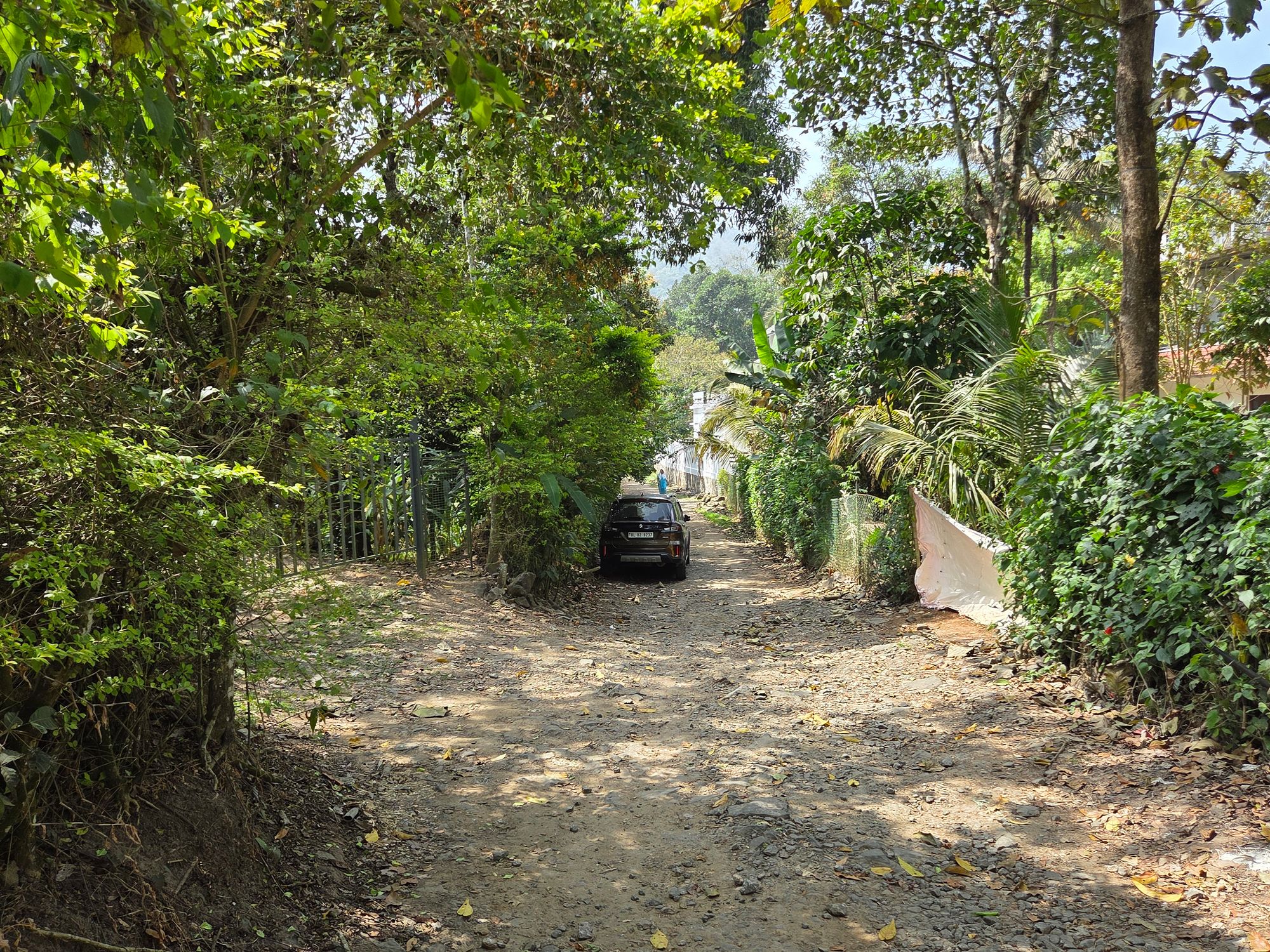 Periyar Spice Plantation and Martial Art Show (2)