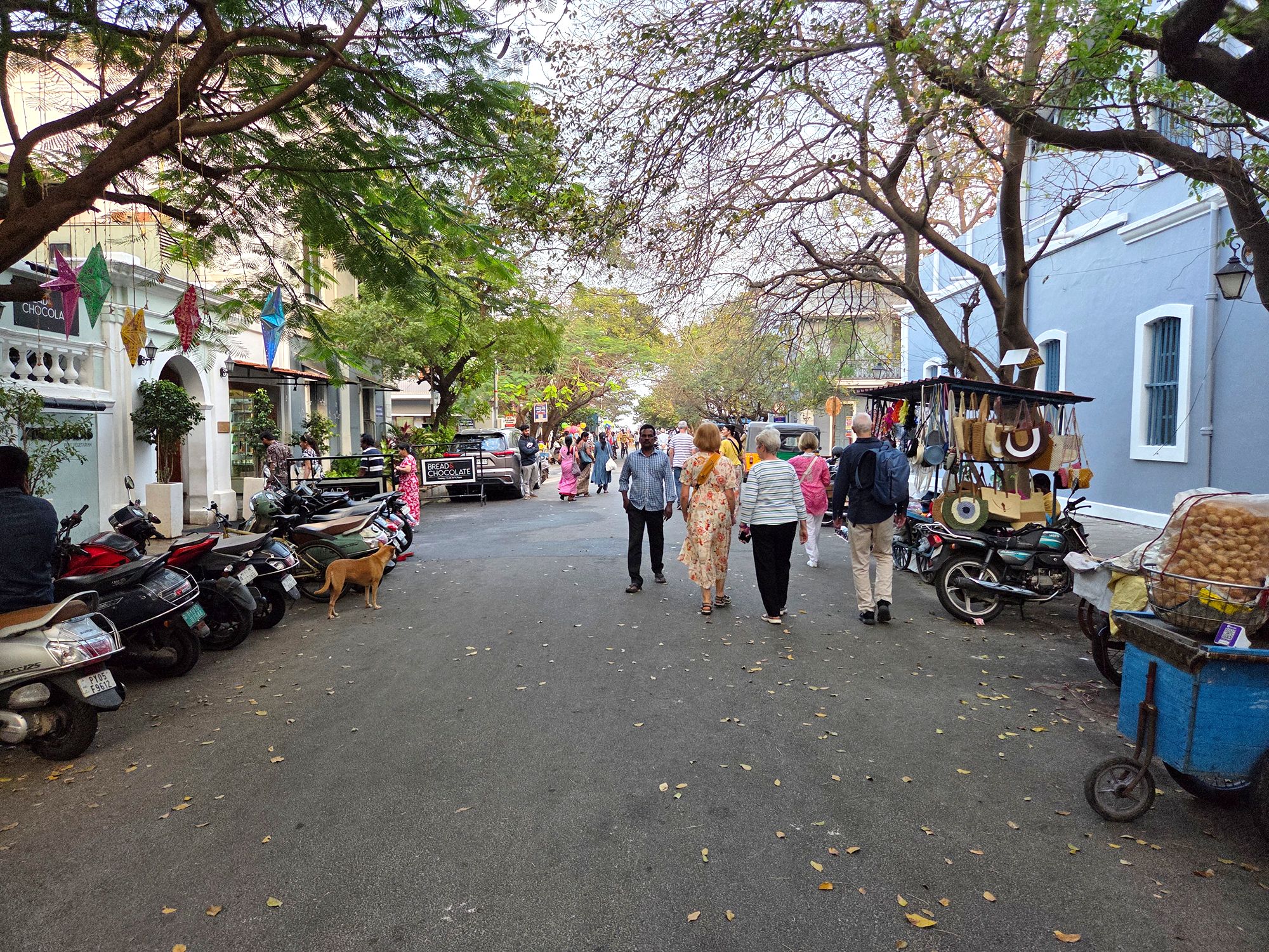 Puducherry (26)