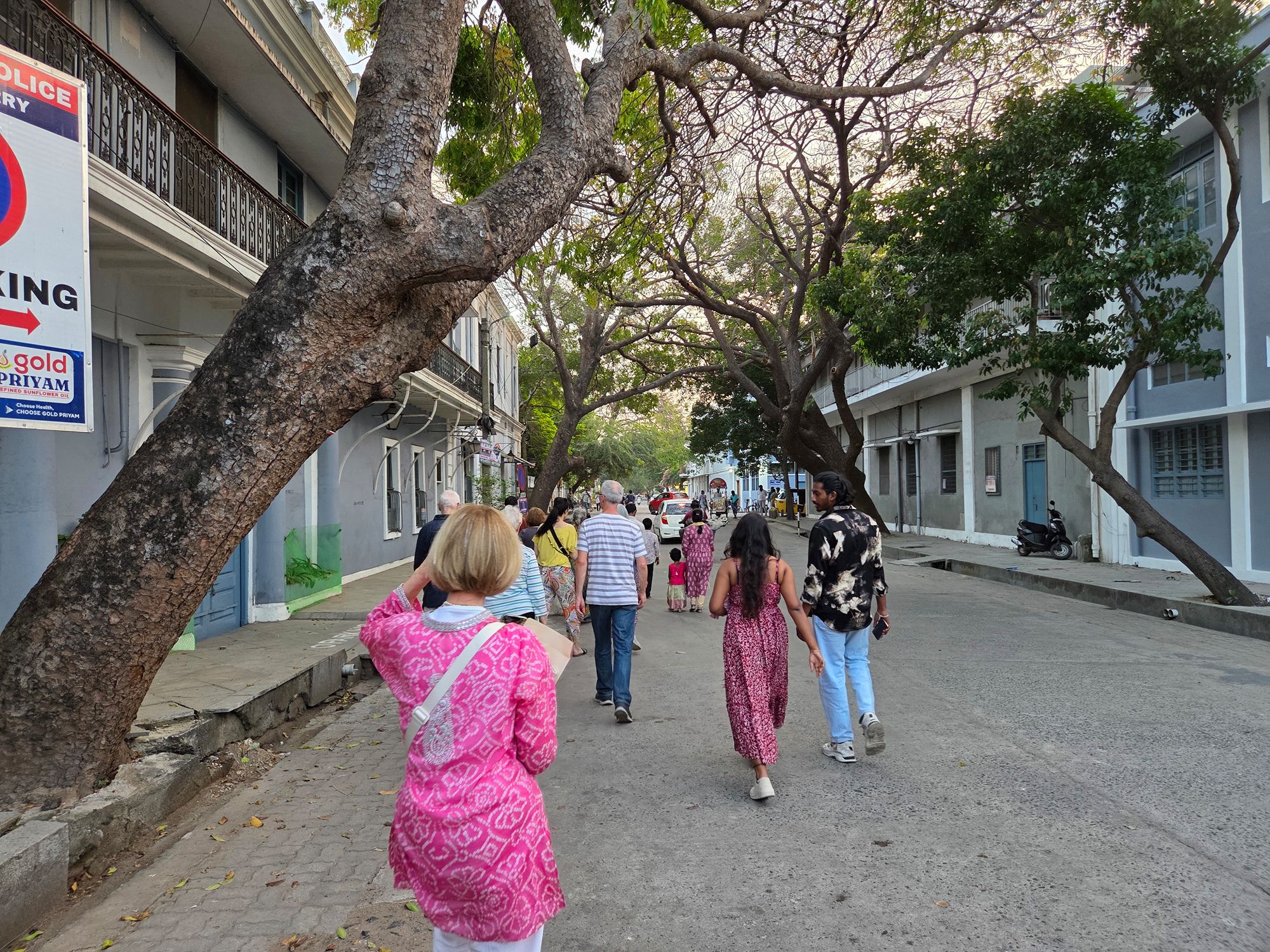 Puducherry (29)