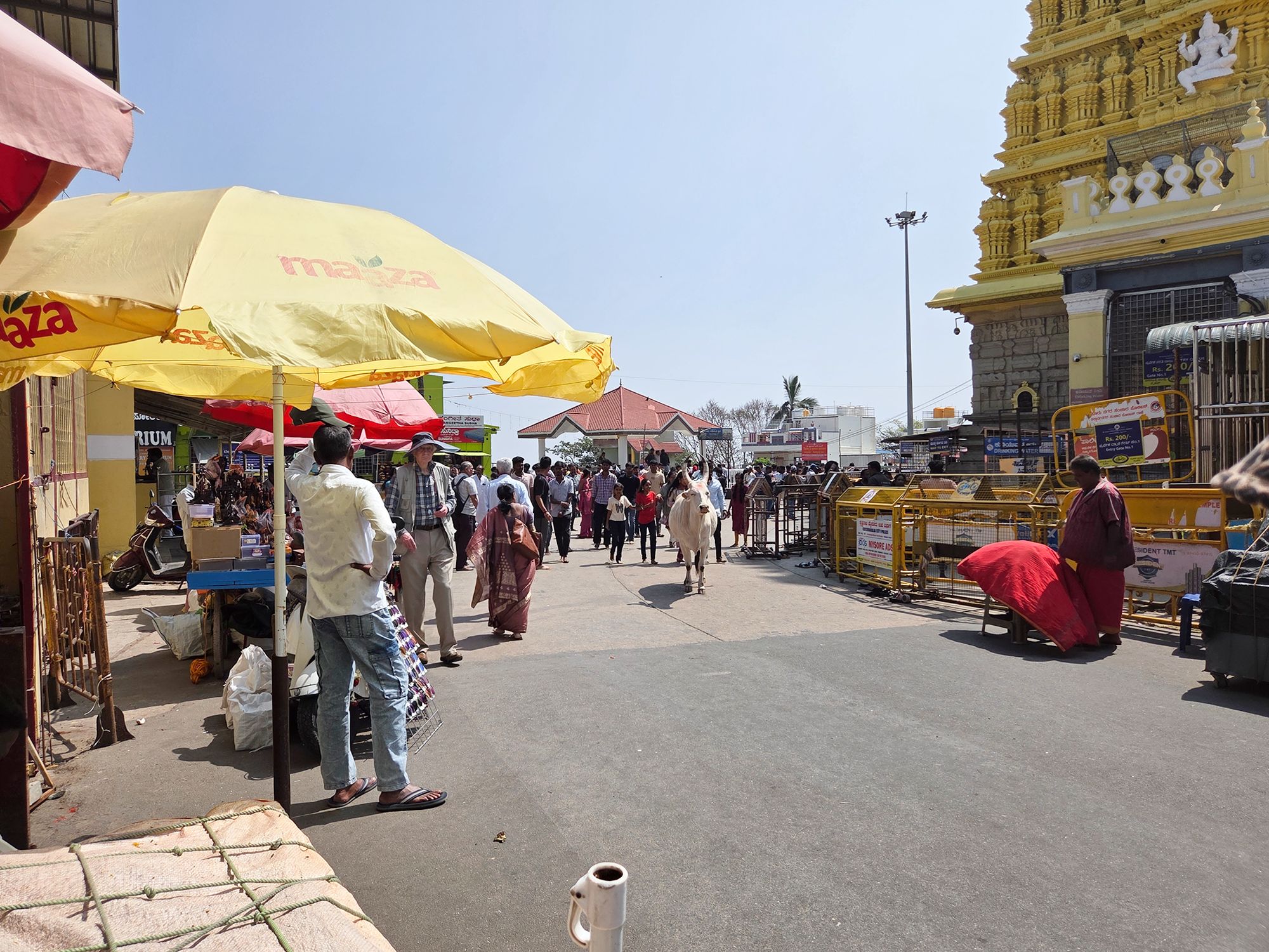 Sri Chamundeshwari and Keshava Temple (12) Sri Chamundeshwari and Keshava Temple (12)