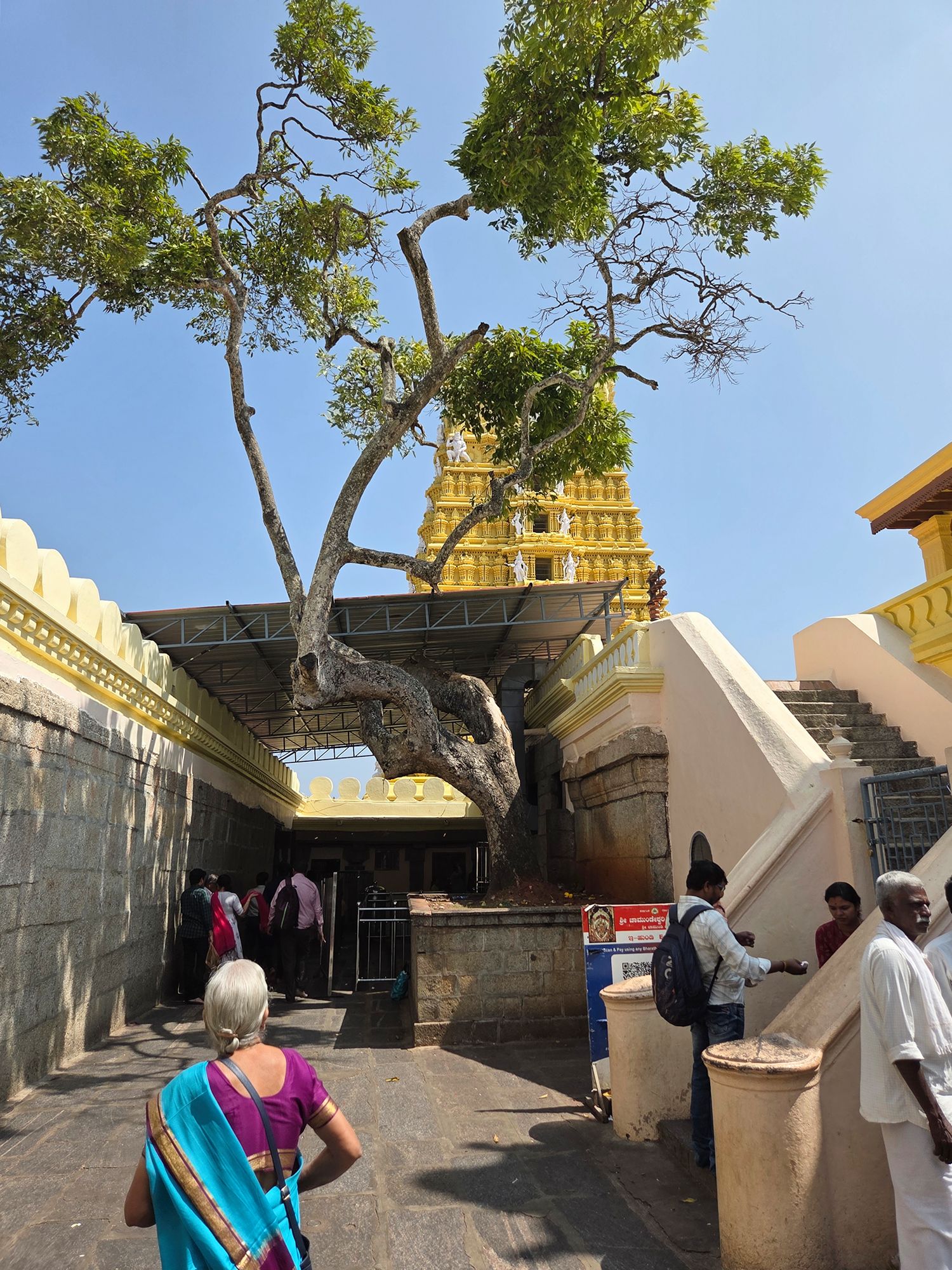 Sri Chamundeshwari and Keshava Temple (15) Sri Chamundeshwari and Keshava Temple (15)
