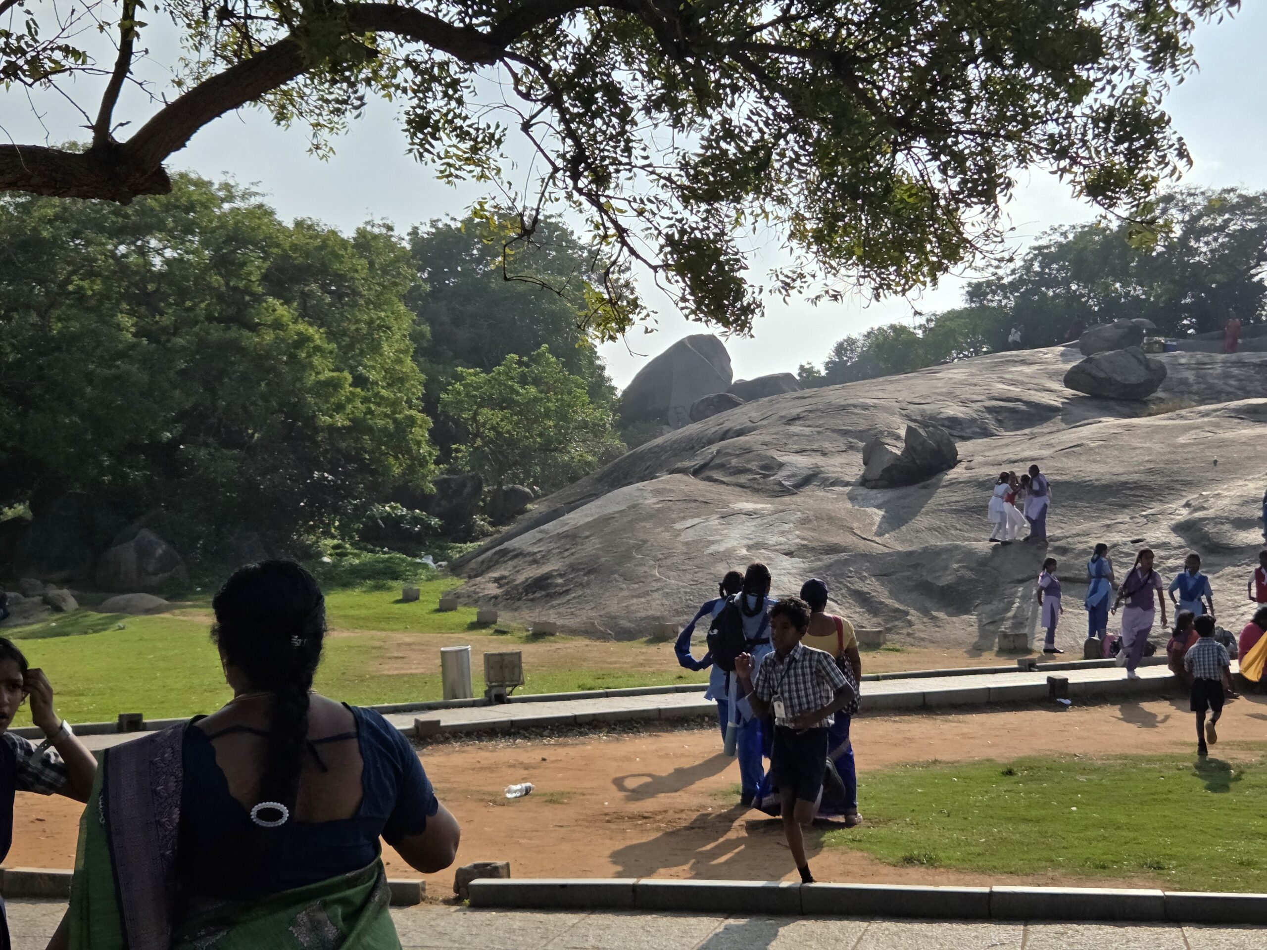 Tamil Nadu (5-1)