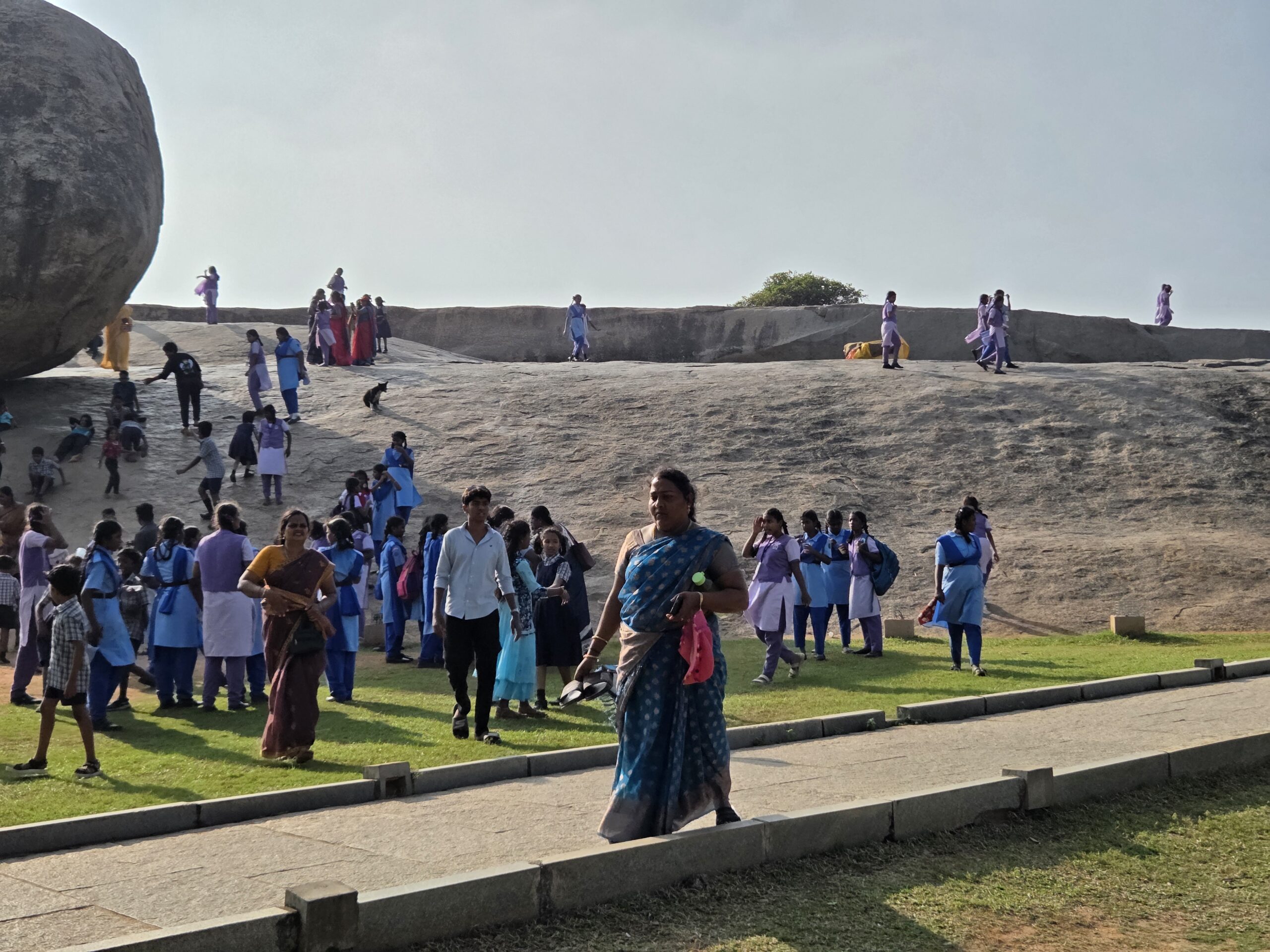 Tamil Nadu (5-3)
