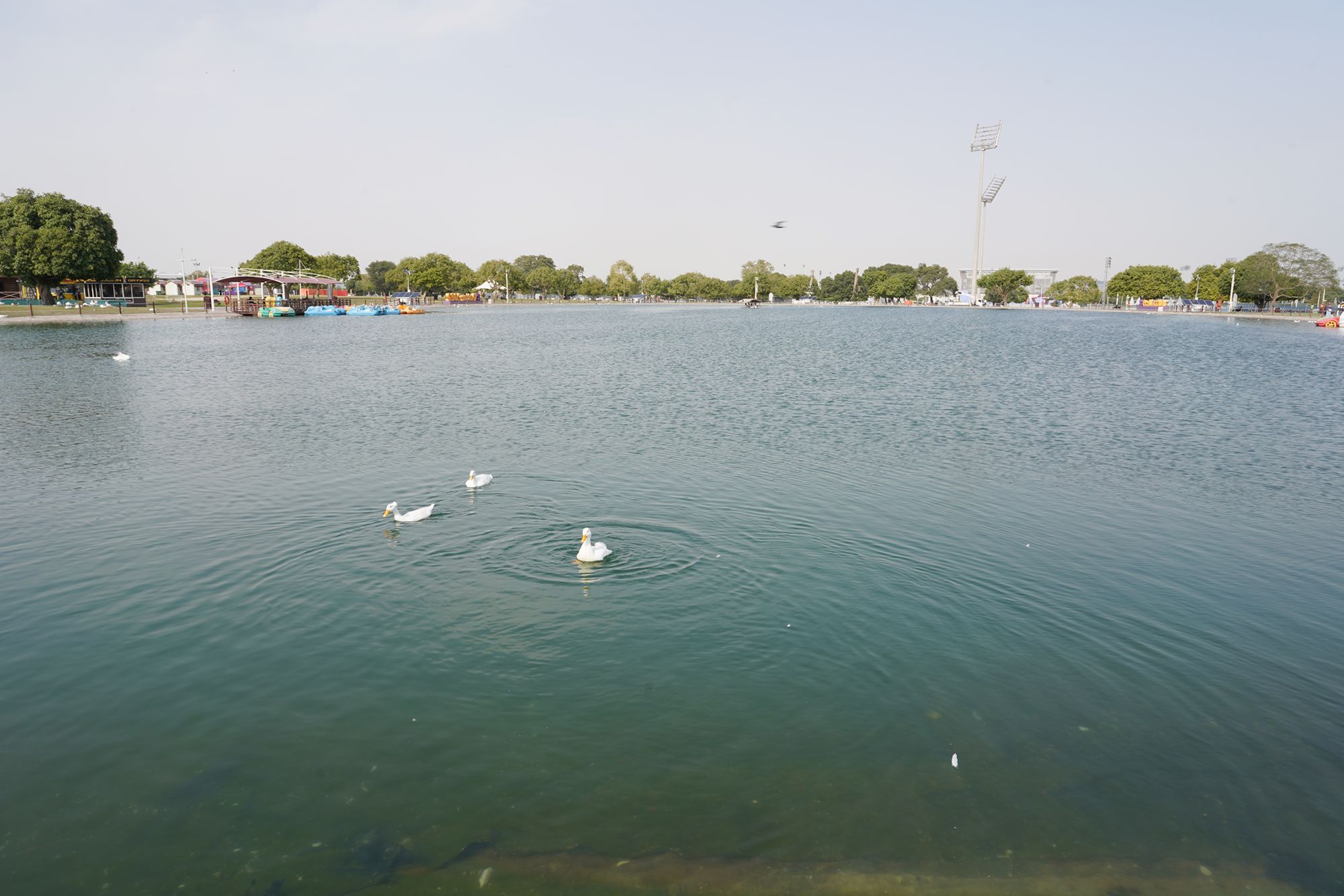 Villaggio Mall, Aspire Park, and Al Mirqab Al Jadeed St (42)