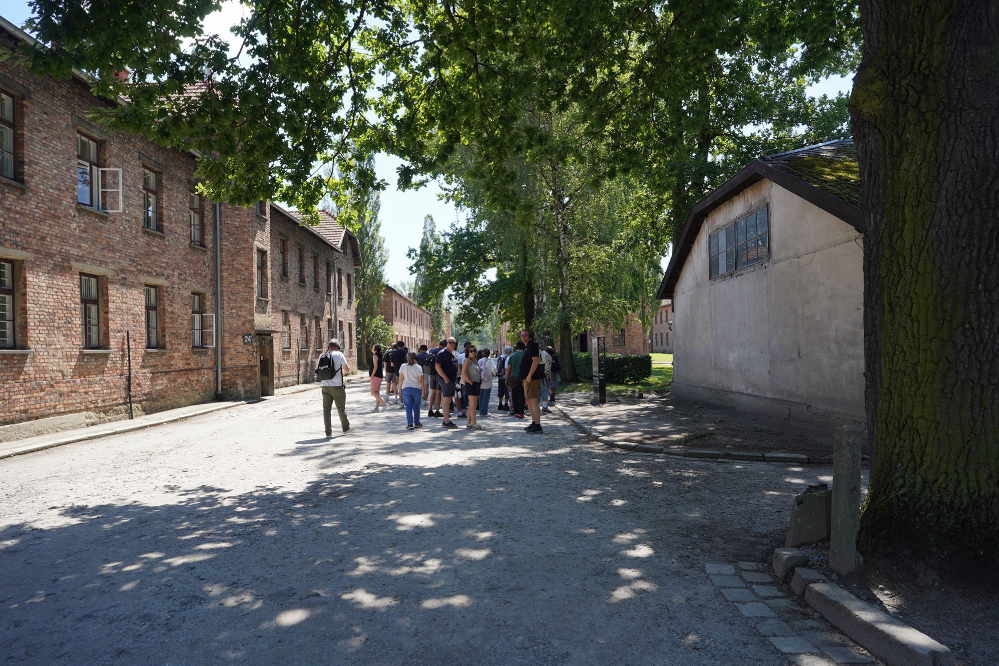 Auschwitz I Part 1 (14)