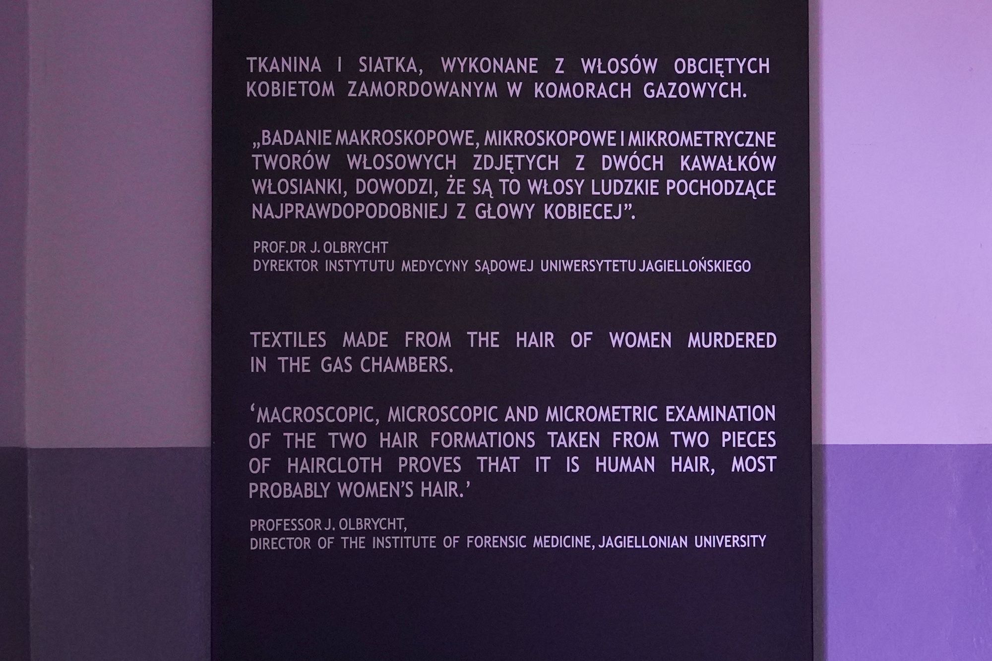 Auschwitz I Part 1 (76)