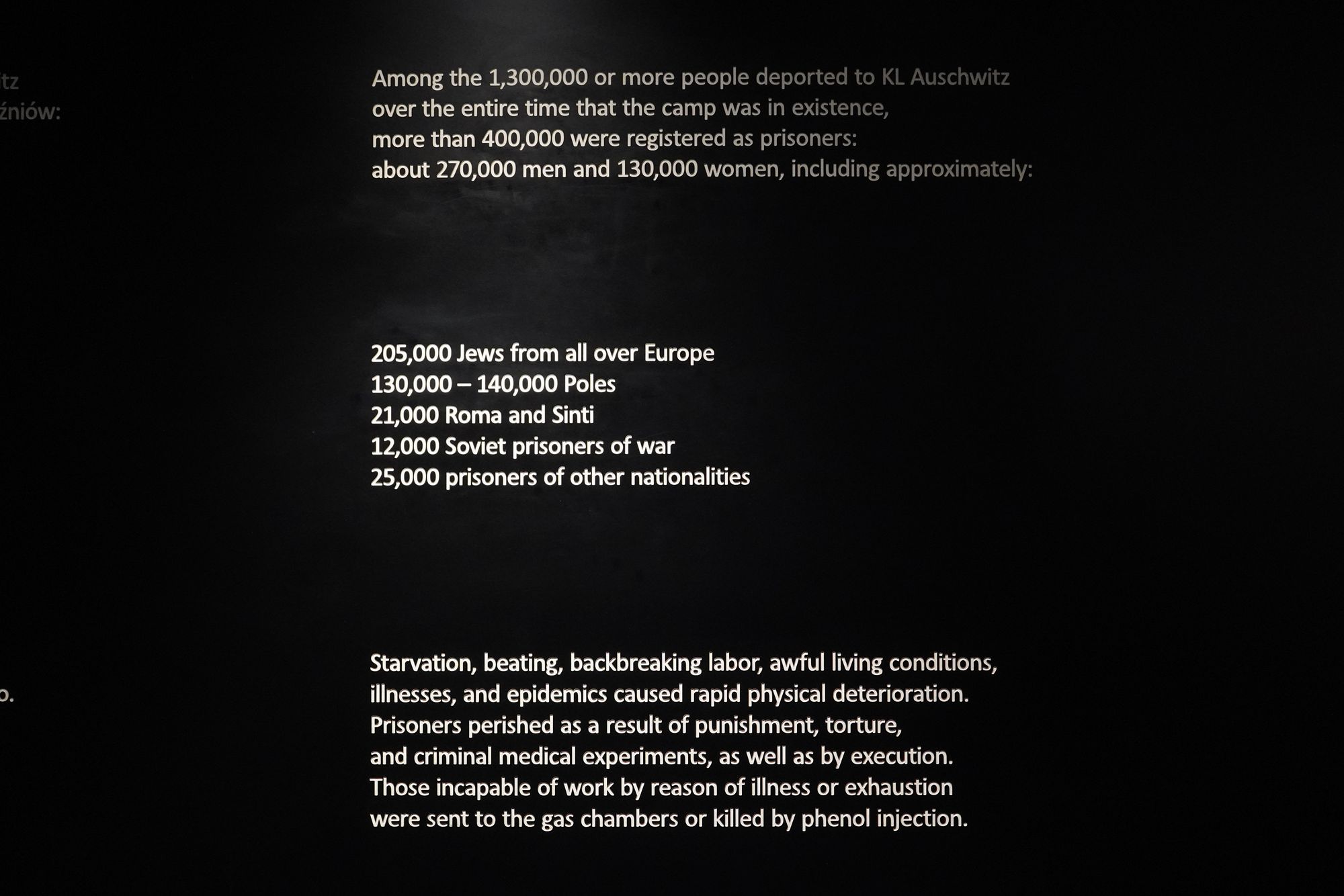 Auschwitz I Part 2 (7)