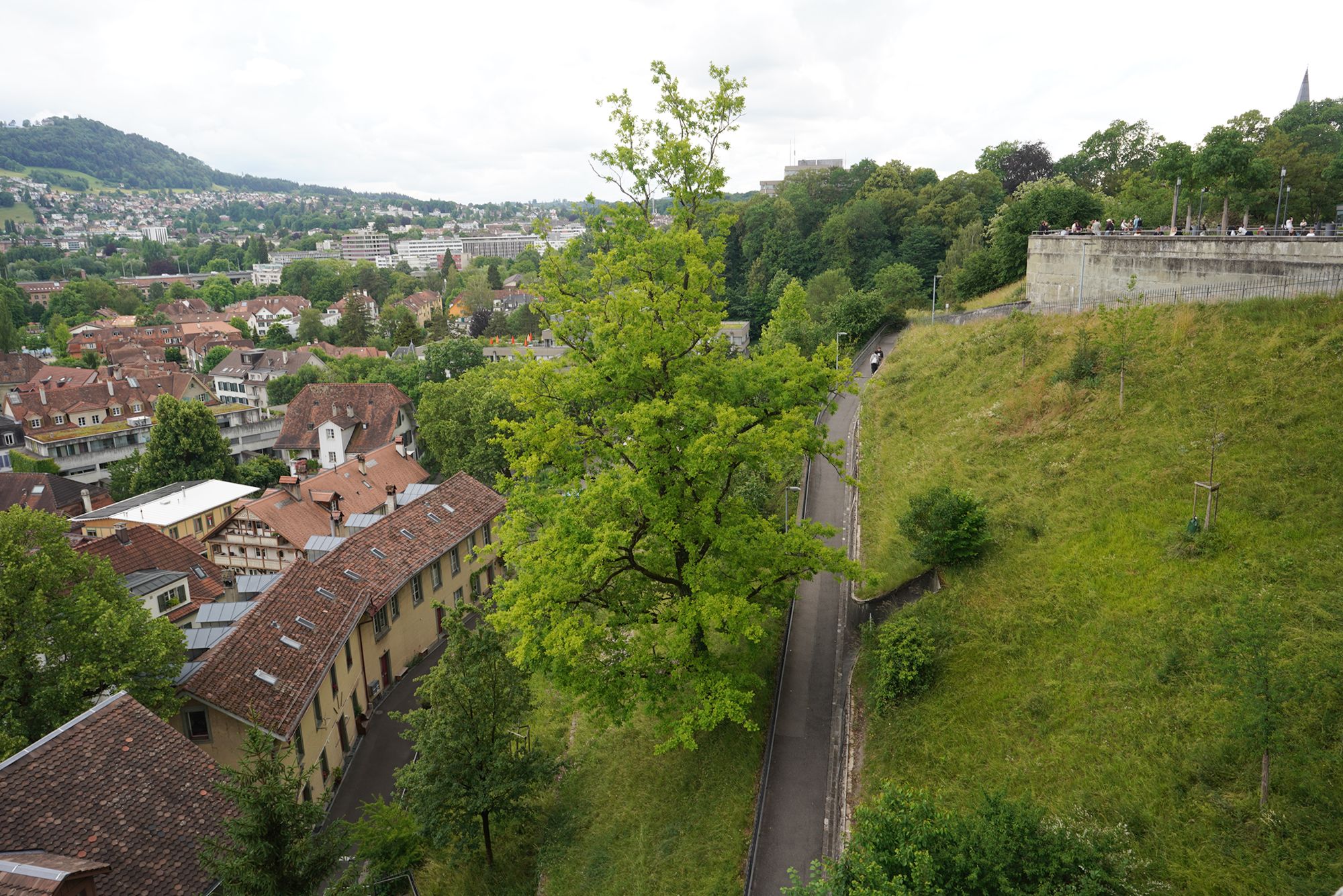 Bern Half Walk I (134)