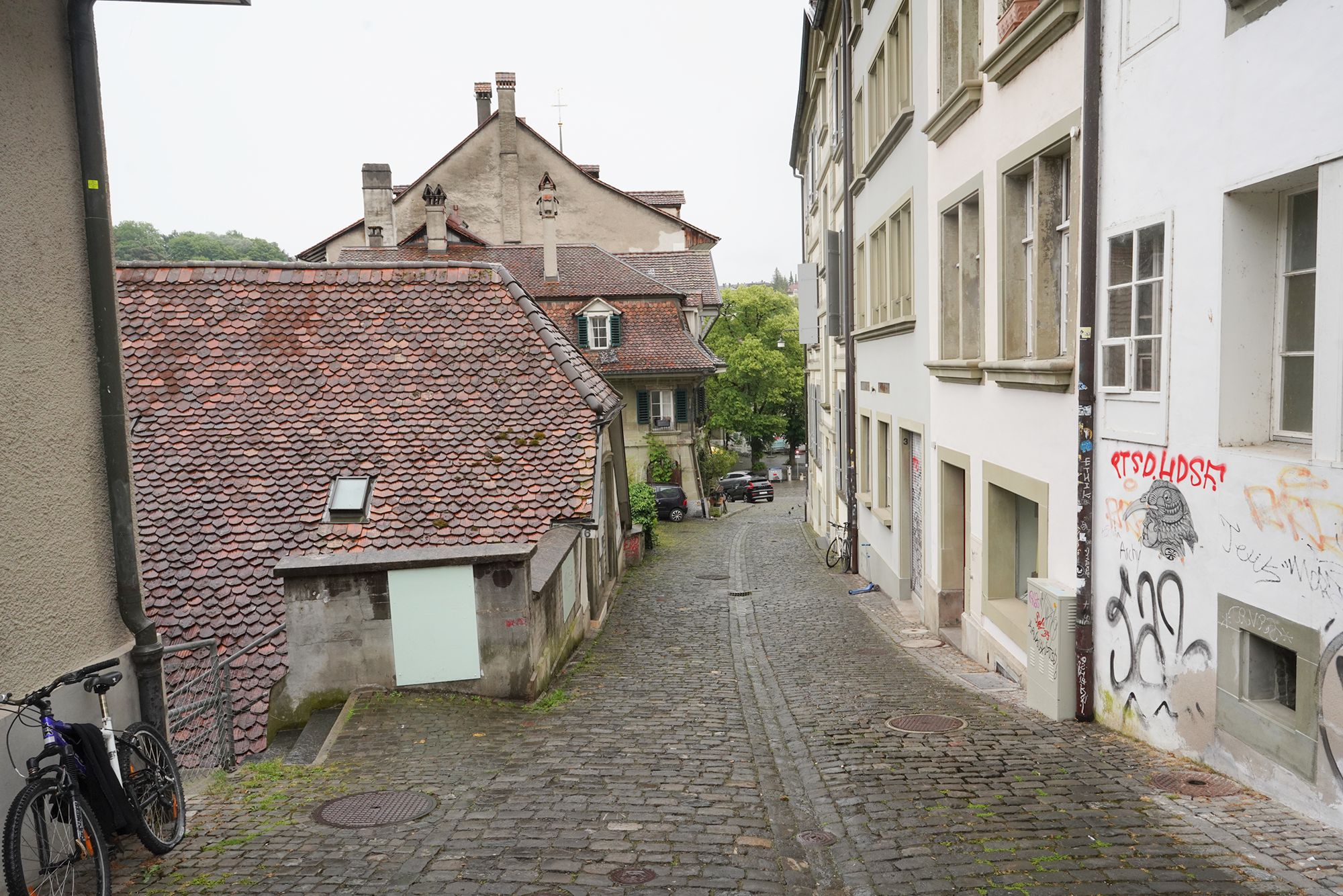 Bern Half Walk I (46)