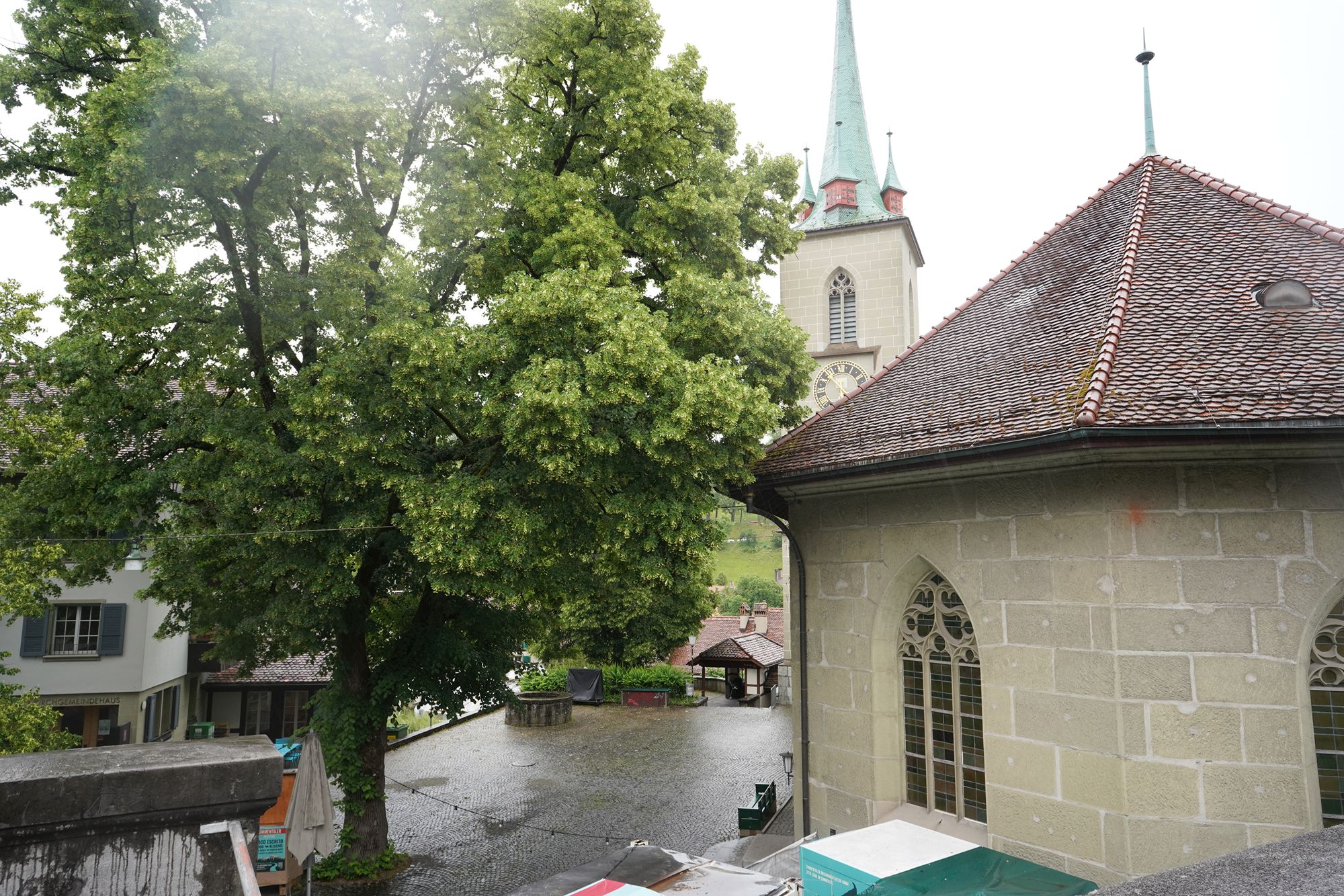 Bern Half Walk I (54)